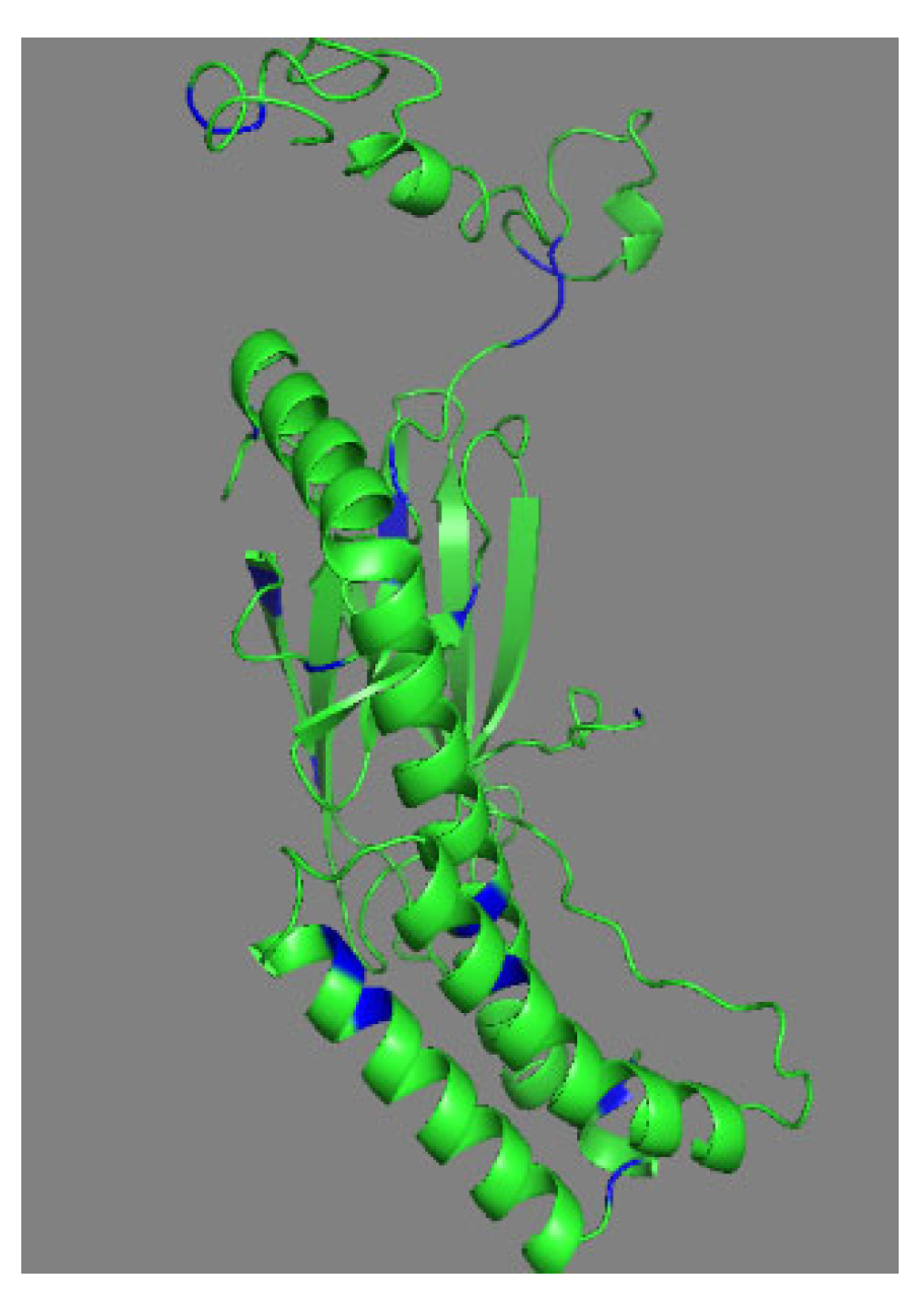 Molecules 27 01167 g004