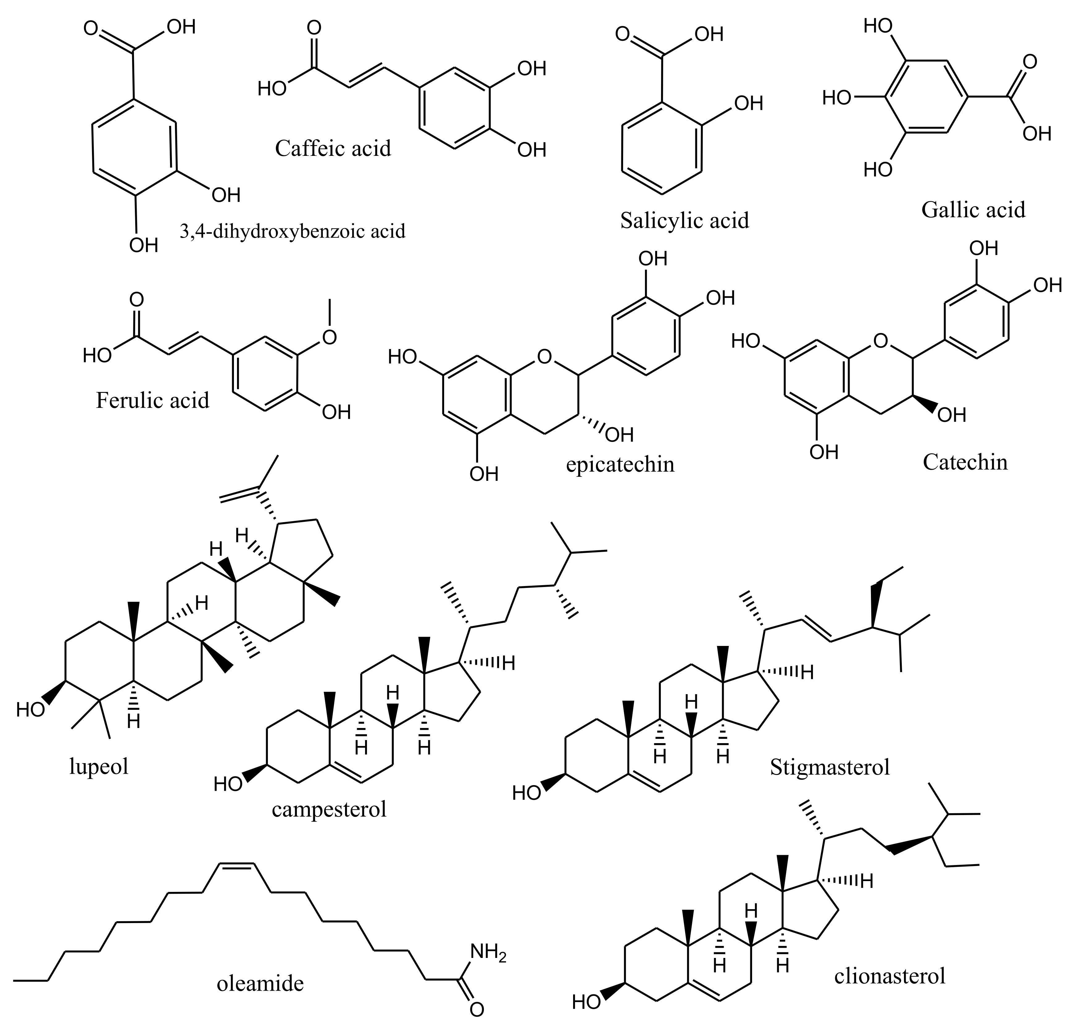 Molecules | Free Full-Text | A Review on the Main Phytoconstituents,  Traditional Uses, Inventions, and Patent Literature of Gum Arabic  Emphasizing Acacia seyal