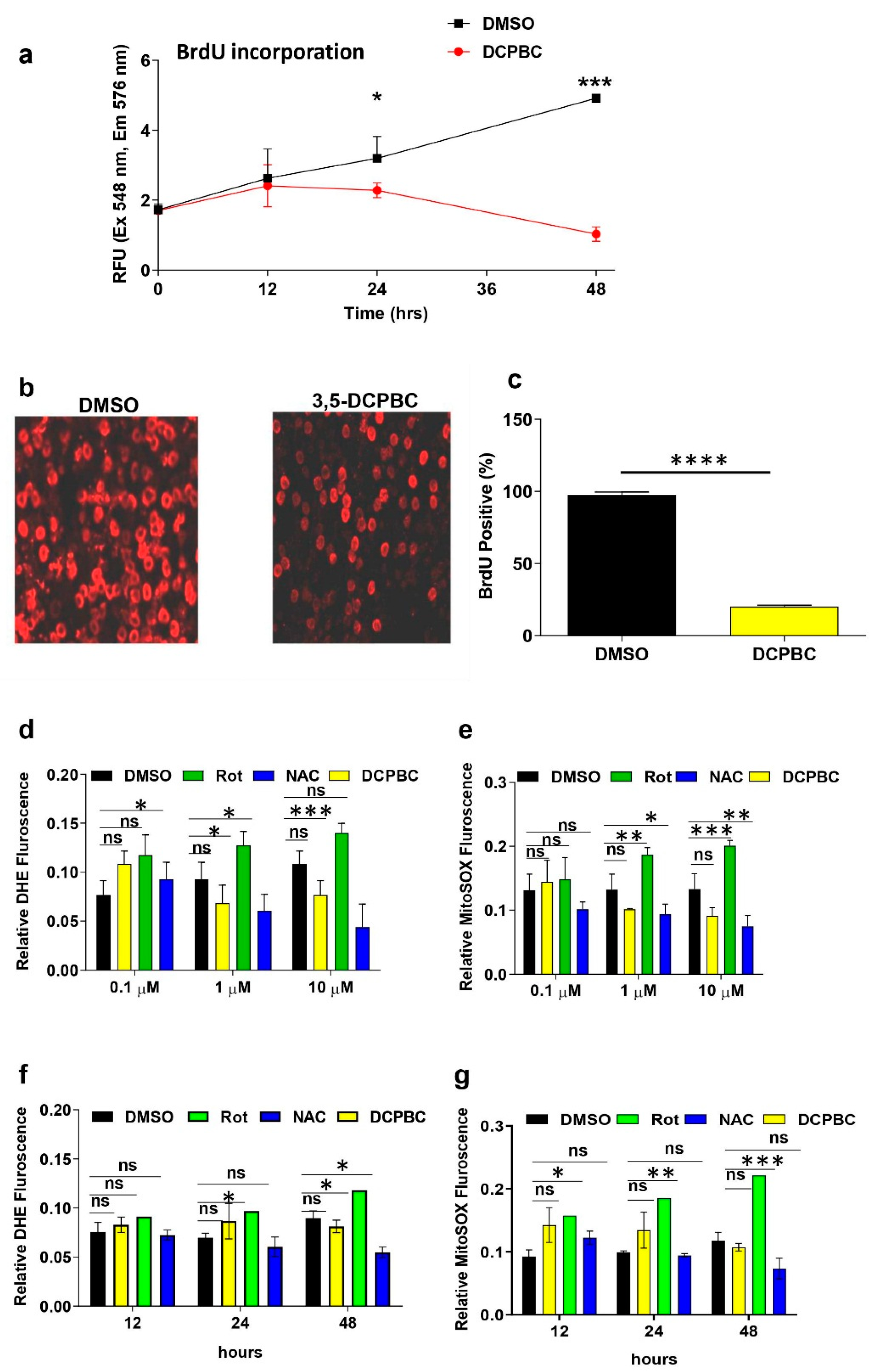 Uncovering viral RNA–host cell interactions on a proteome-wide scale:  Trends in Biochemical Sciences