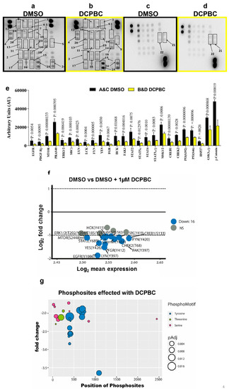 Uncovering viral RNA–host cell interactions on a proteome-wide scale:  Trends in Biochemical Sciences