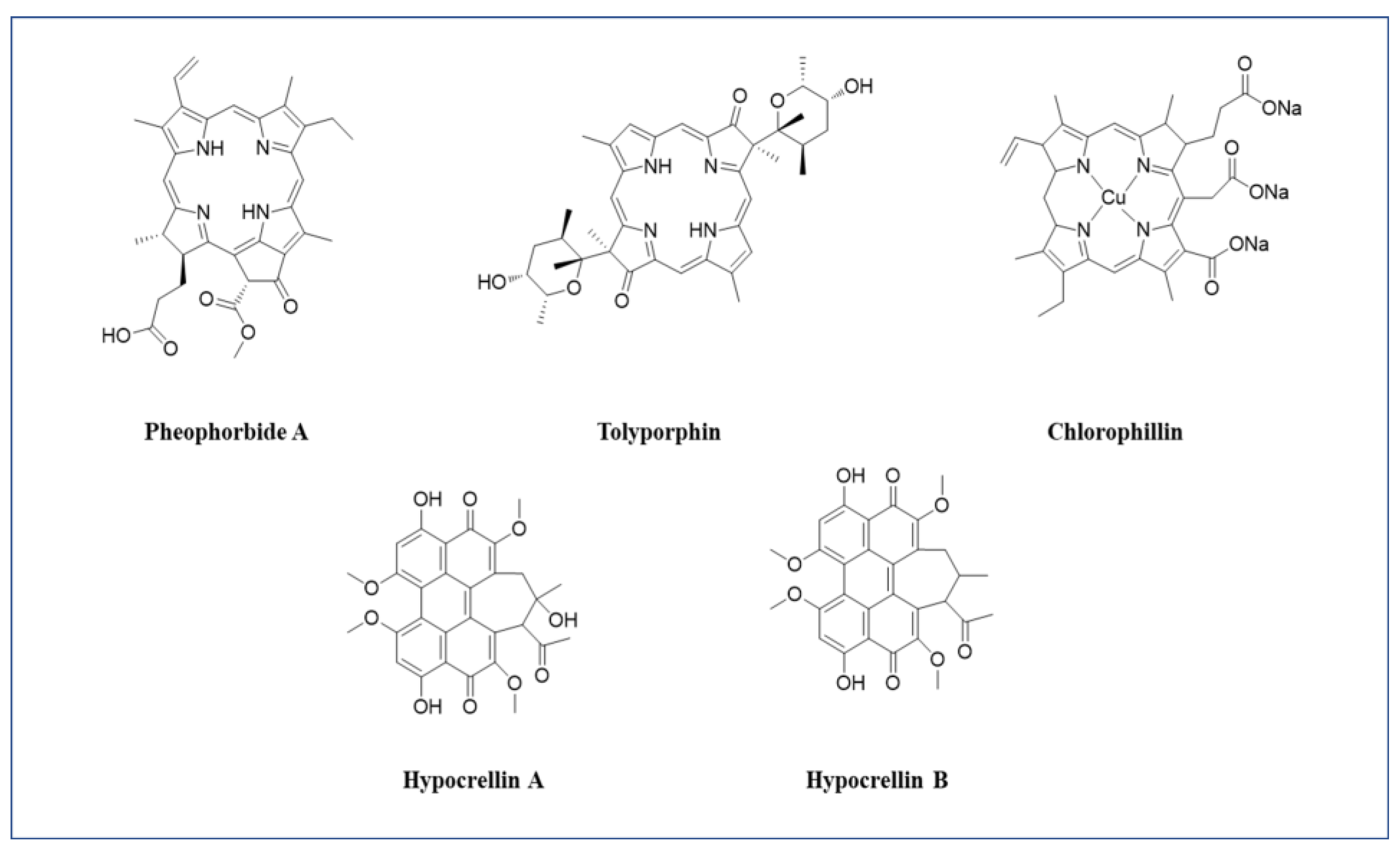 Molecules 27 01192 g004