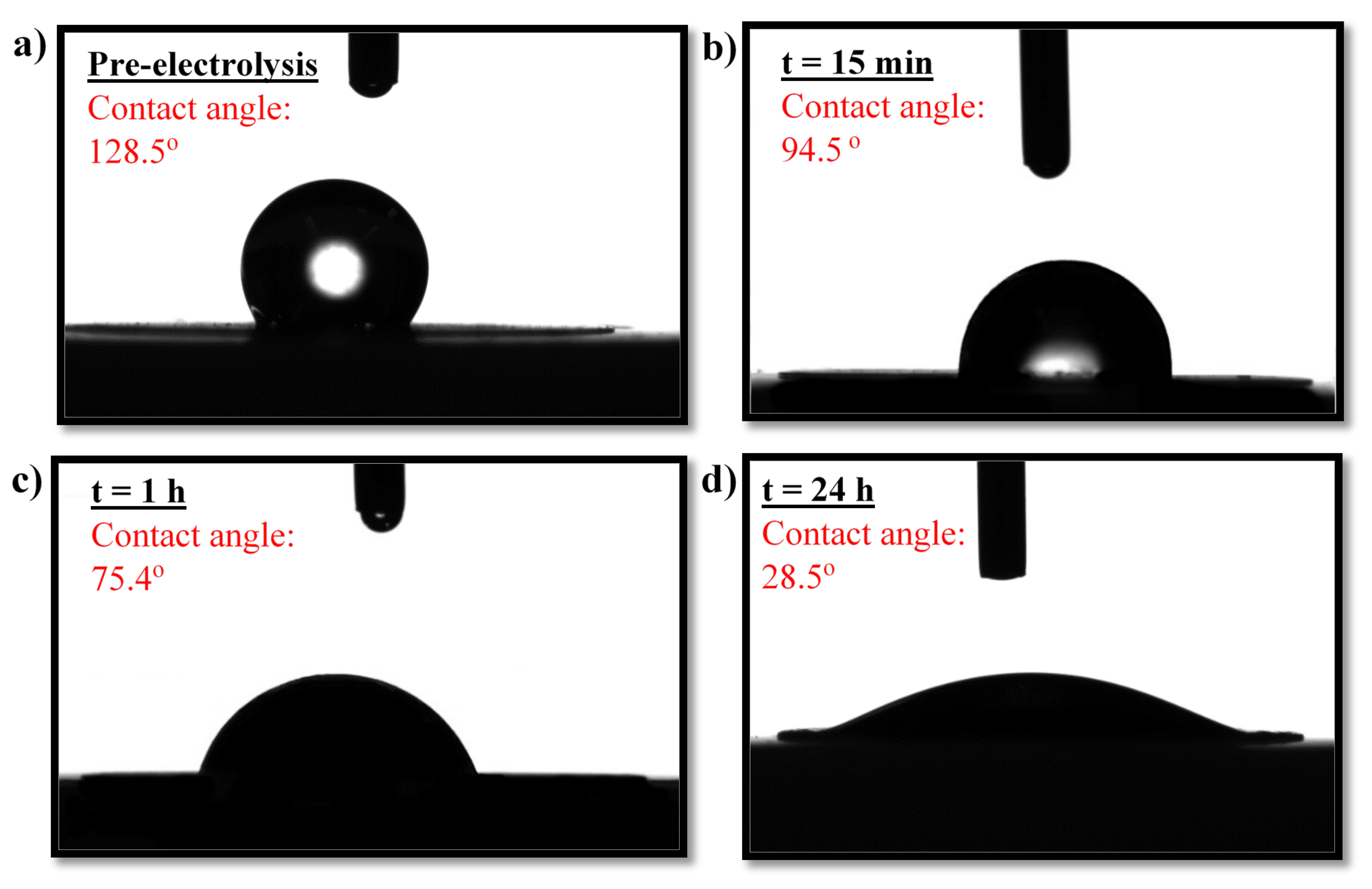 Molecules 27 01199 g007