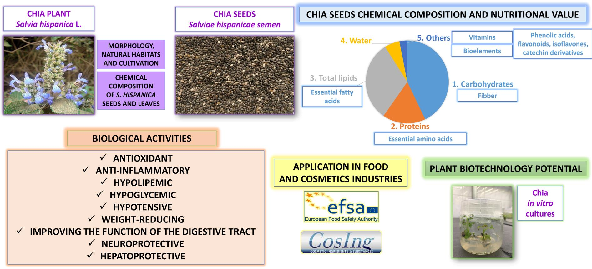 Molecules | Free Full-Text | The Current State of Knowledge on Salvia  hispanica and Salviae hispanicae semen (Chia Seeds) | HTML