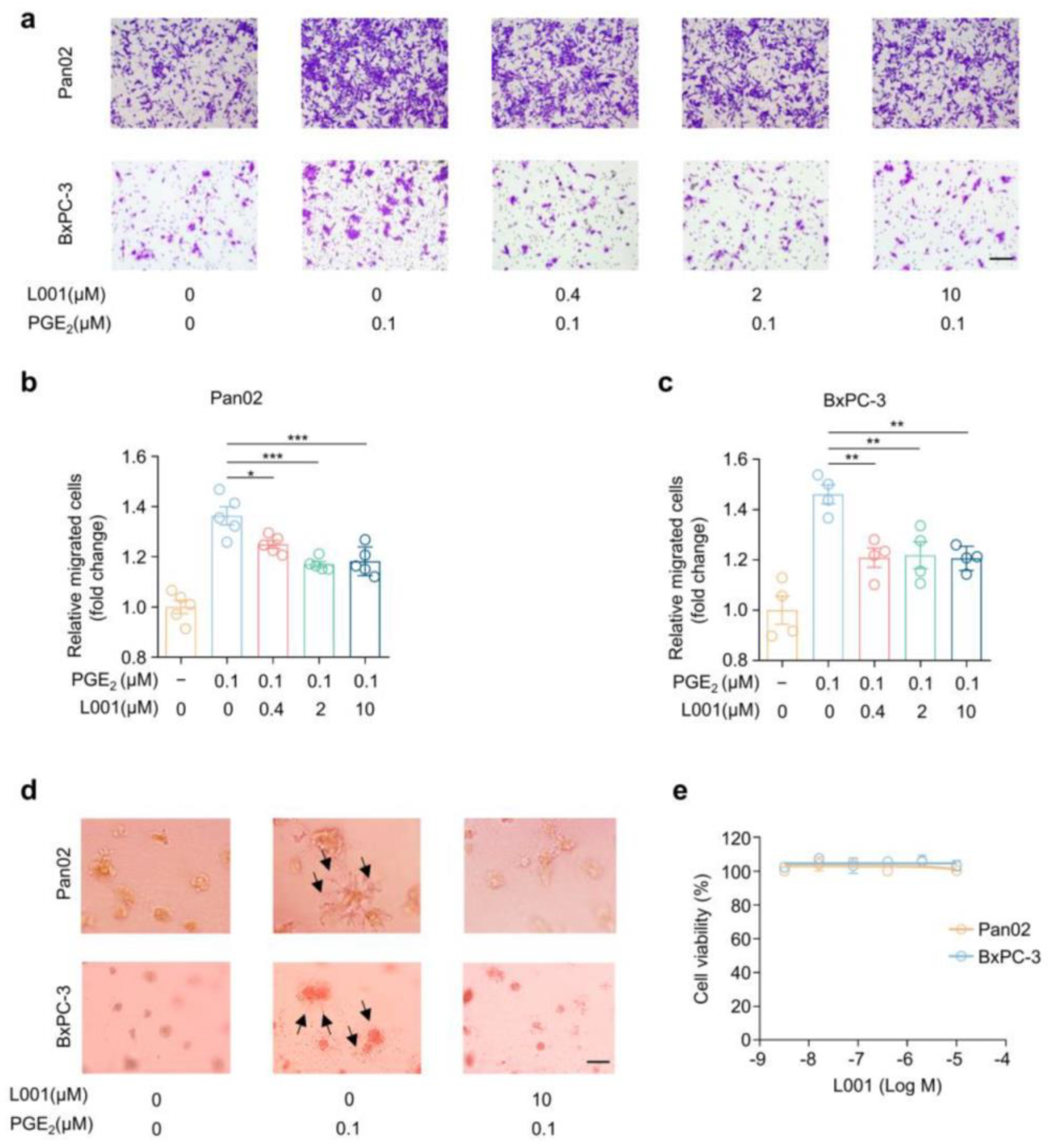 Molecules 27 01209 g004
