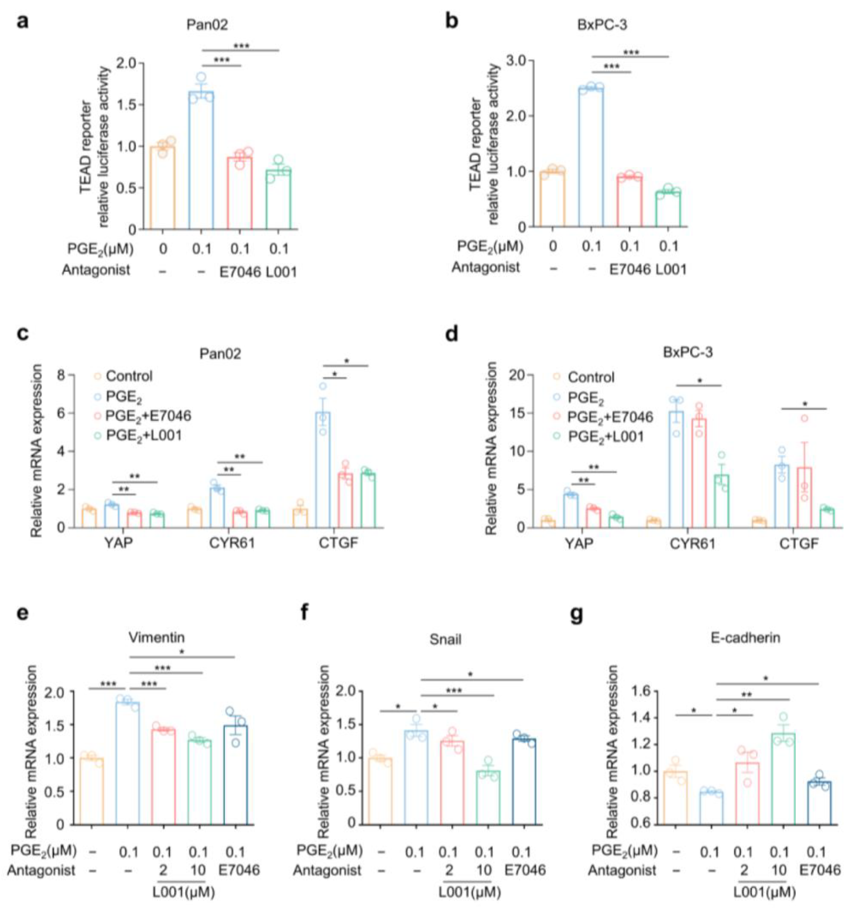 Molecules 27 01209 g005