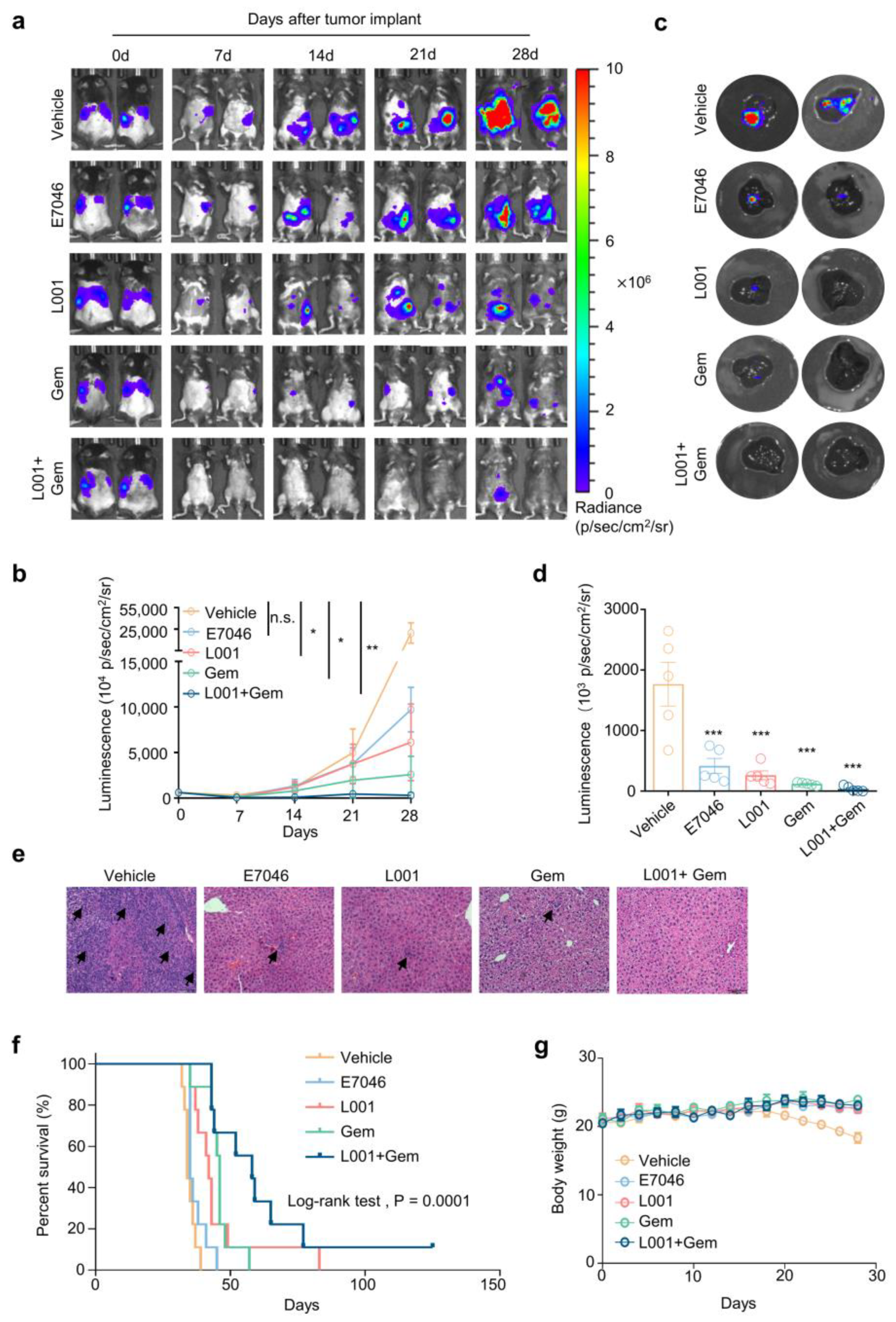 Molecules 27 01209 g006