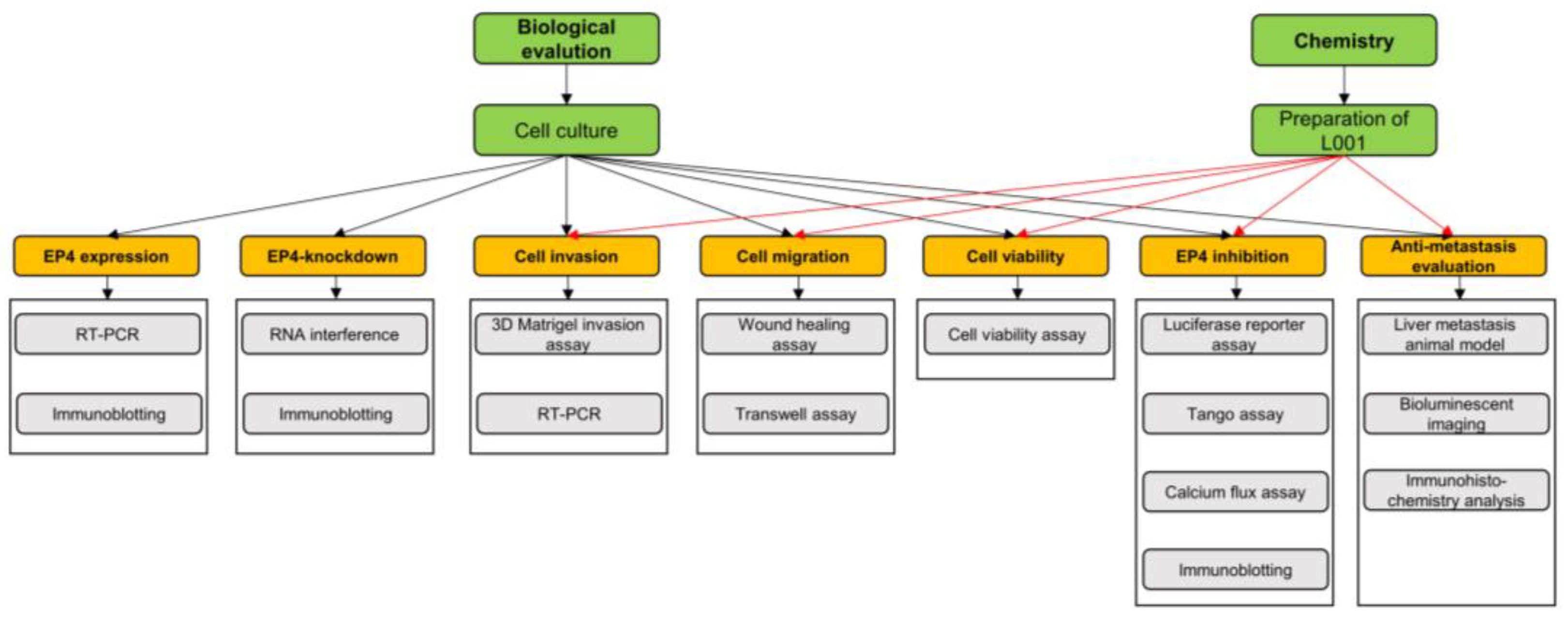 Molecules 27 01209 g007