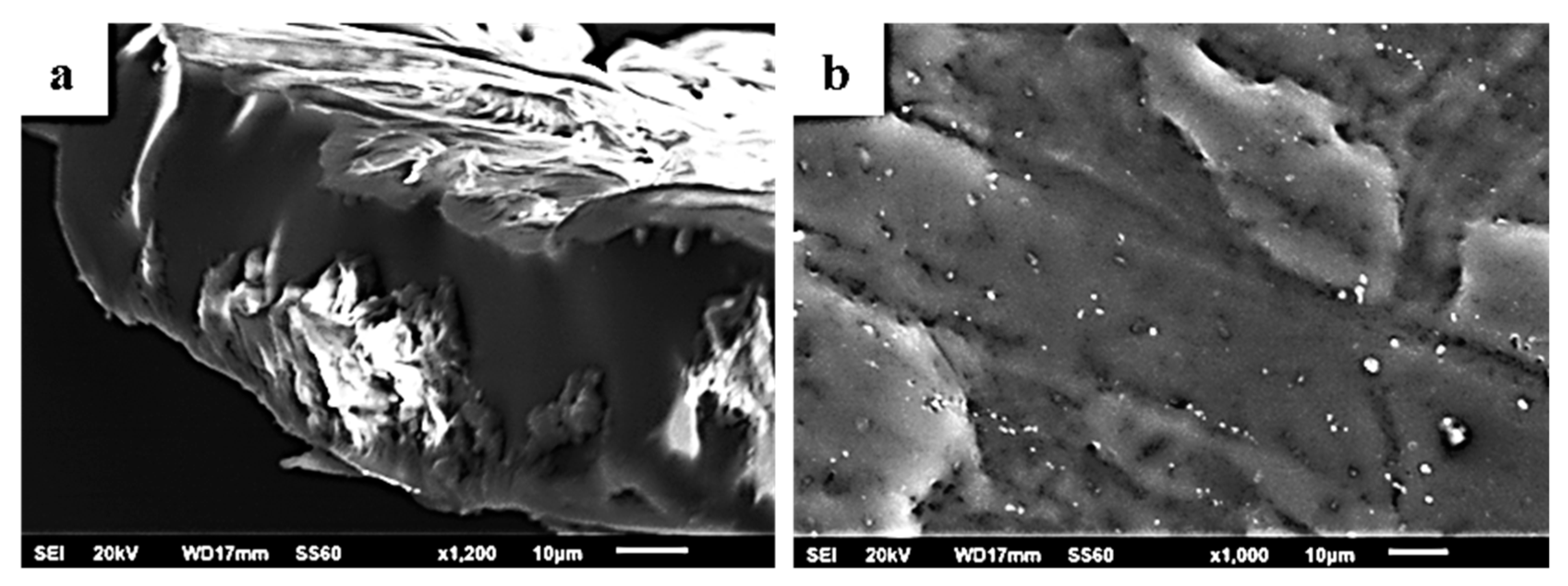 Molecules 27 01231 g004