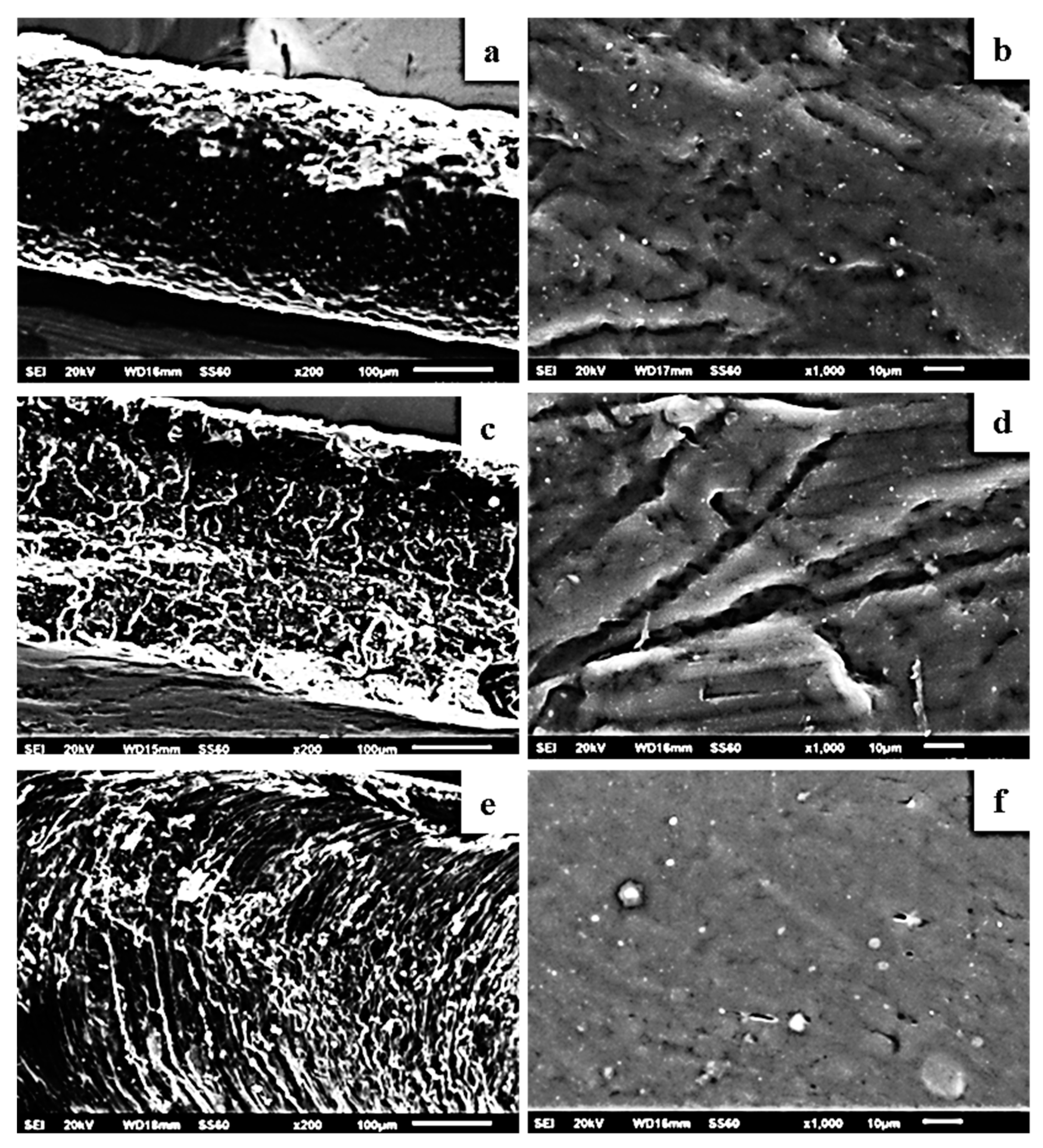Molecules 27 01231 g006