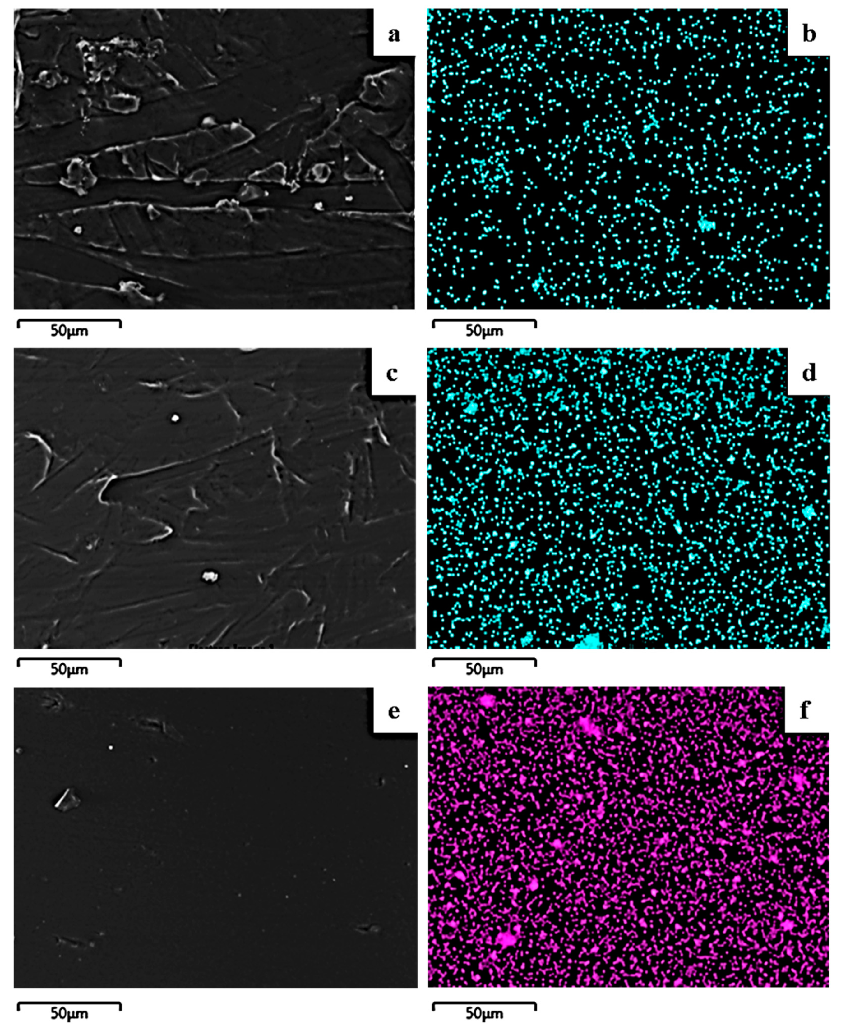 Molecules 27 01231 g007