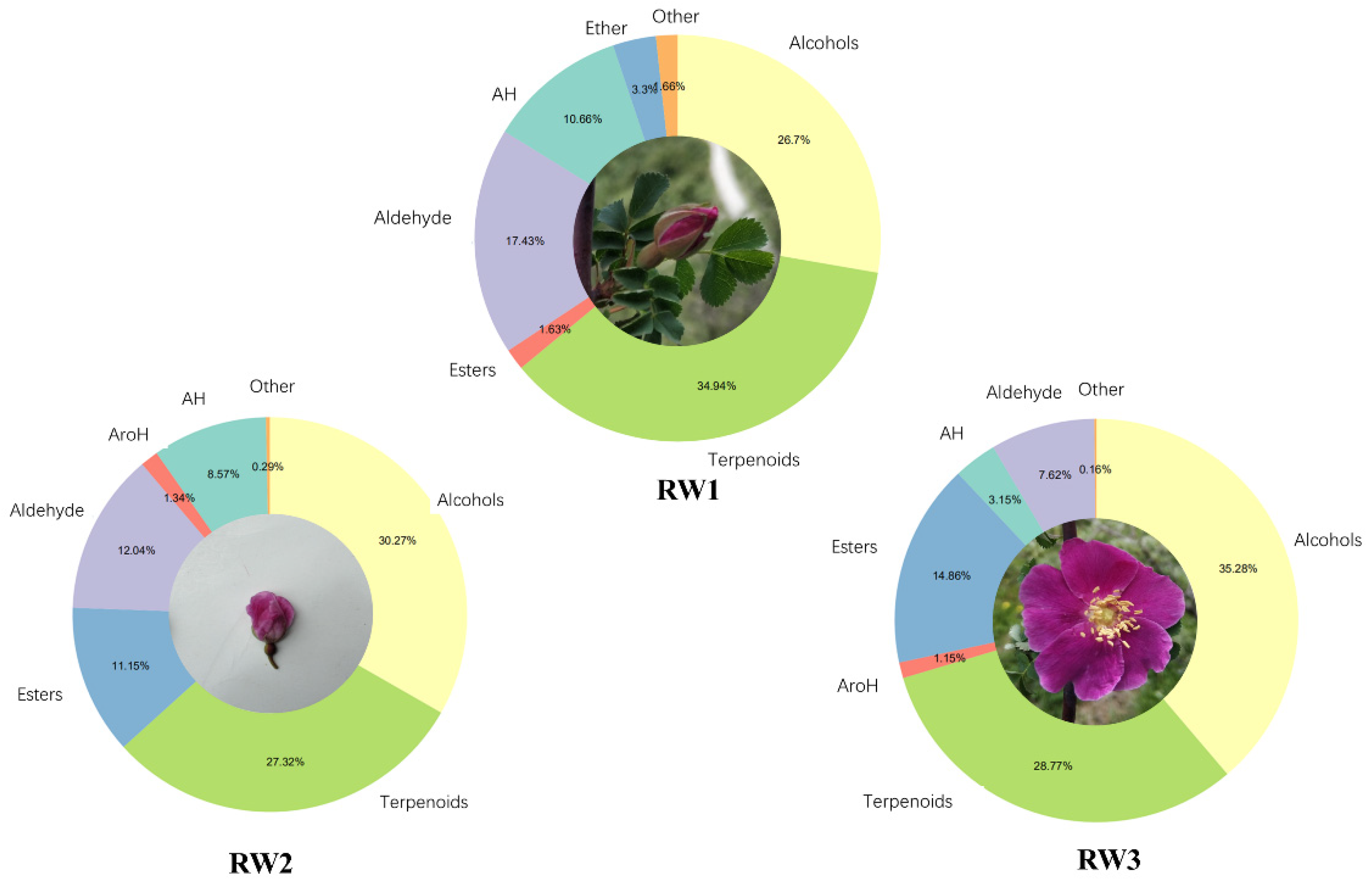 Molecules 27 01240 g002 Molecules 27 01240 g002
