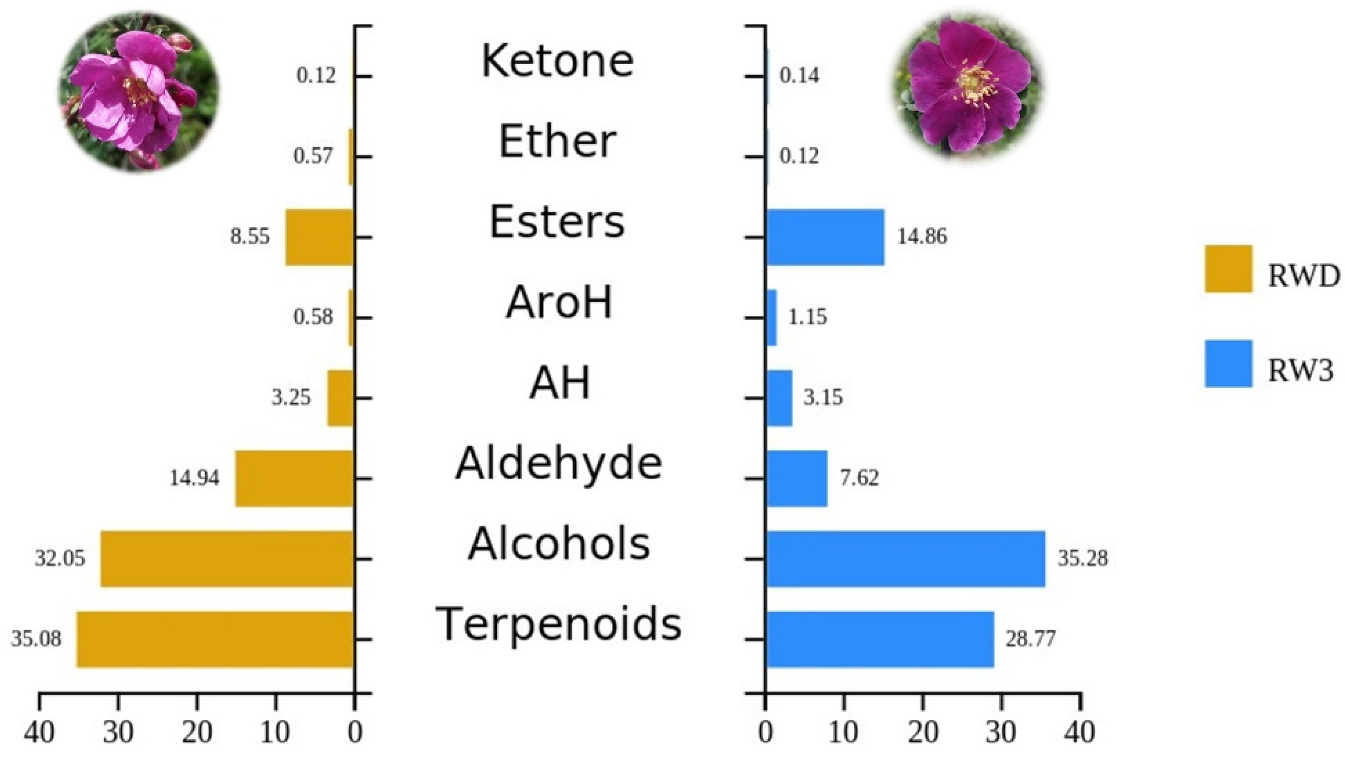 Molecules 27 01240 g005 Molecules 27 01240 g005