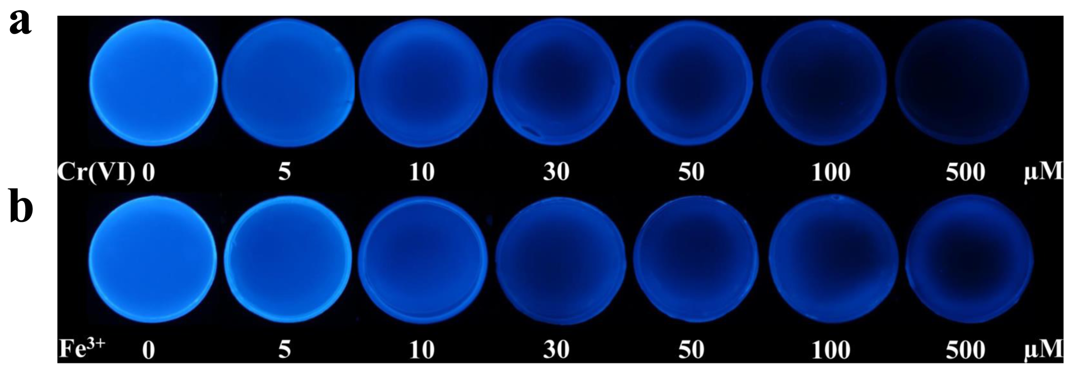 Molecules 27 01258 g007