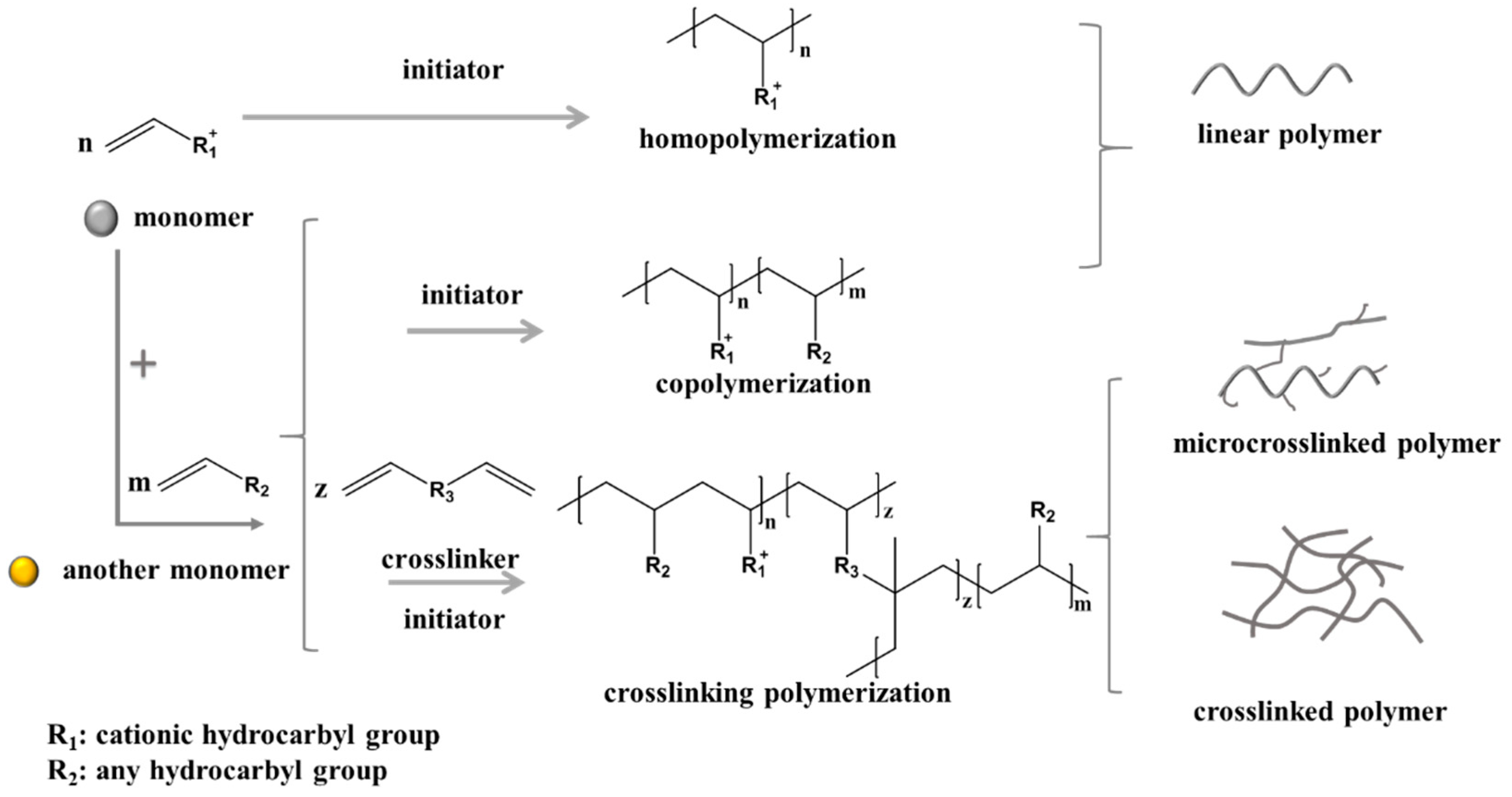 Molecules 27 01267 g005