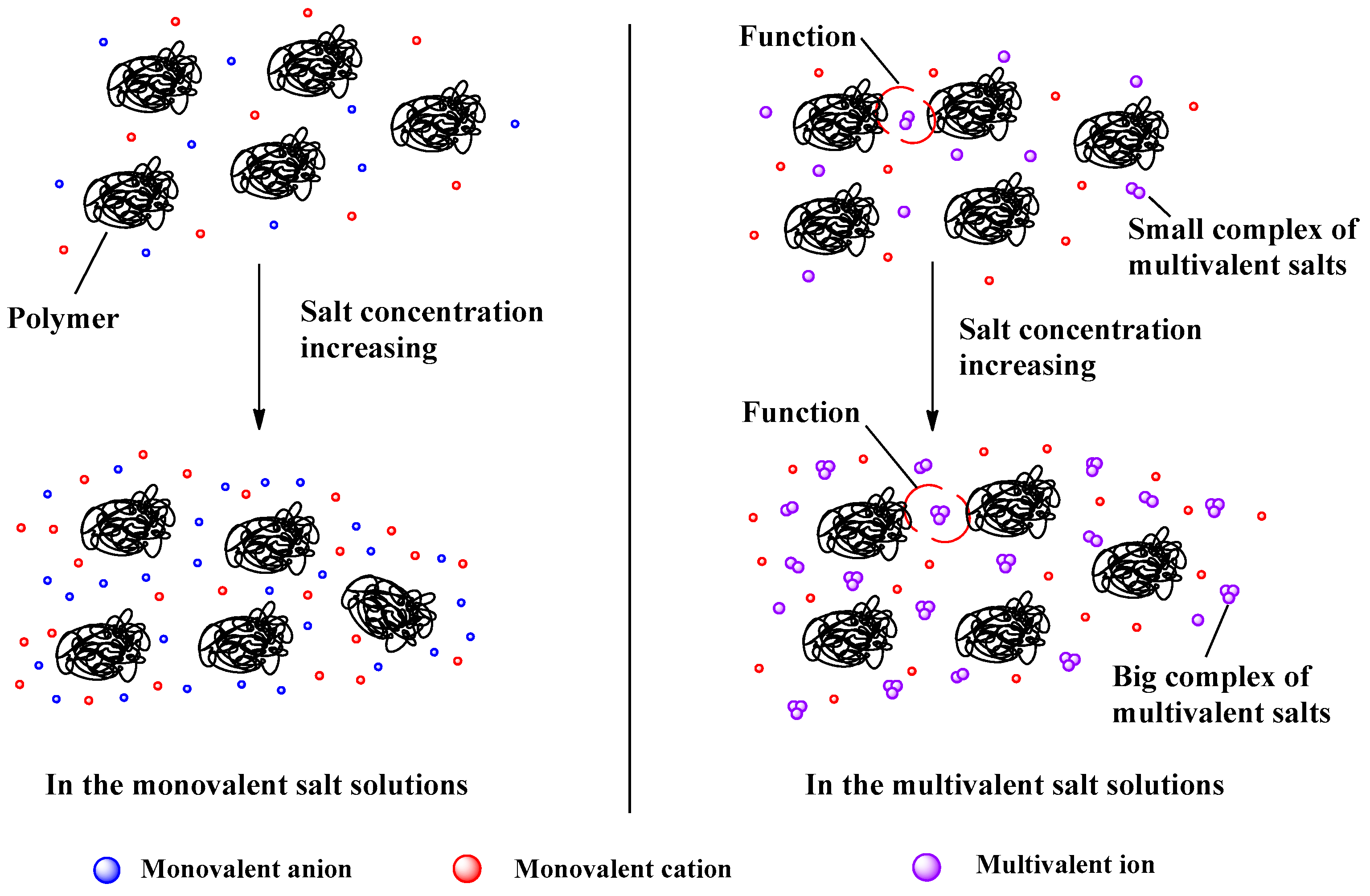 Molecules 27 01267 g006