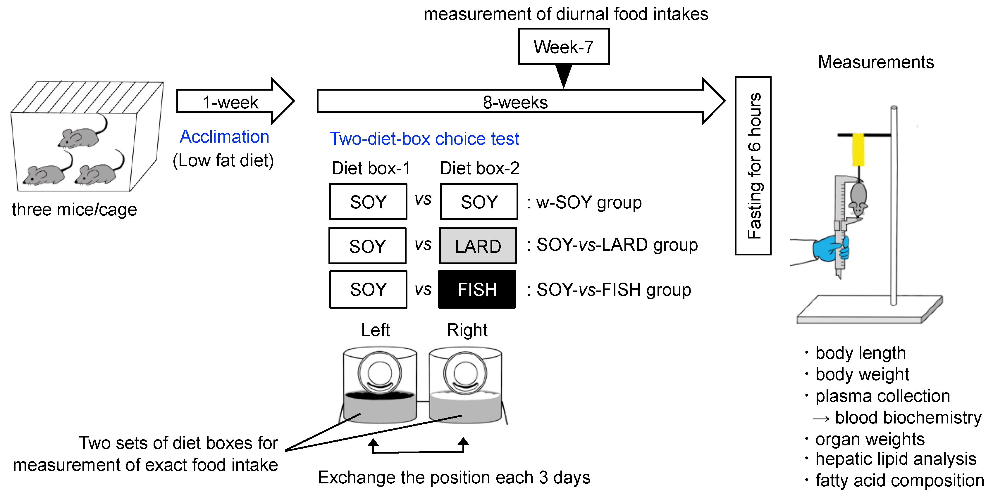 Molecules 27 01271 g006