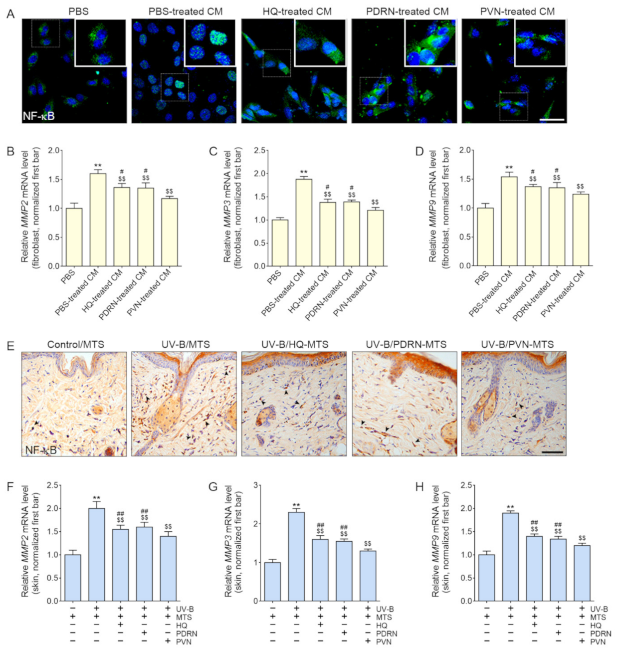 Molecules 27 01276 g003