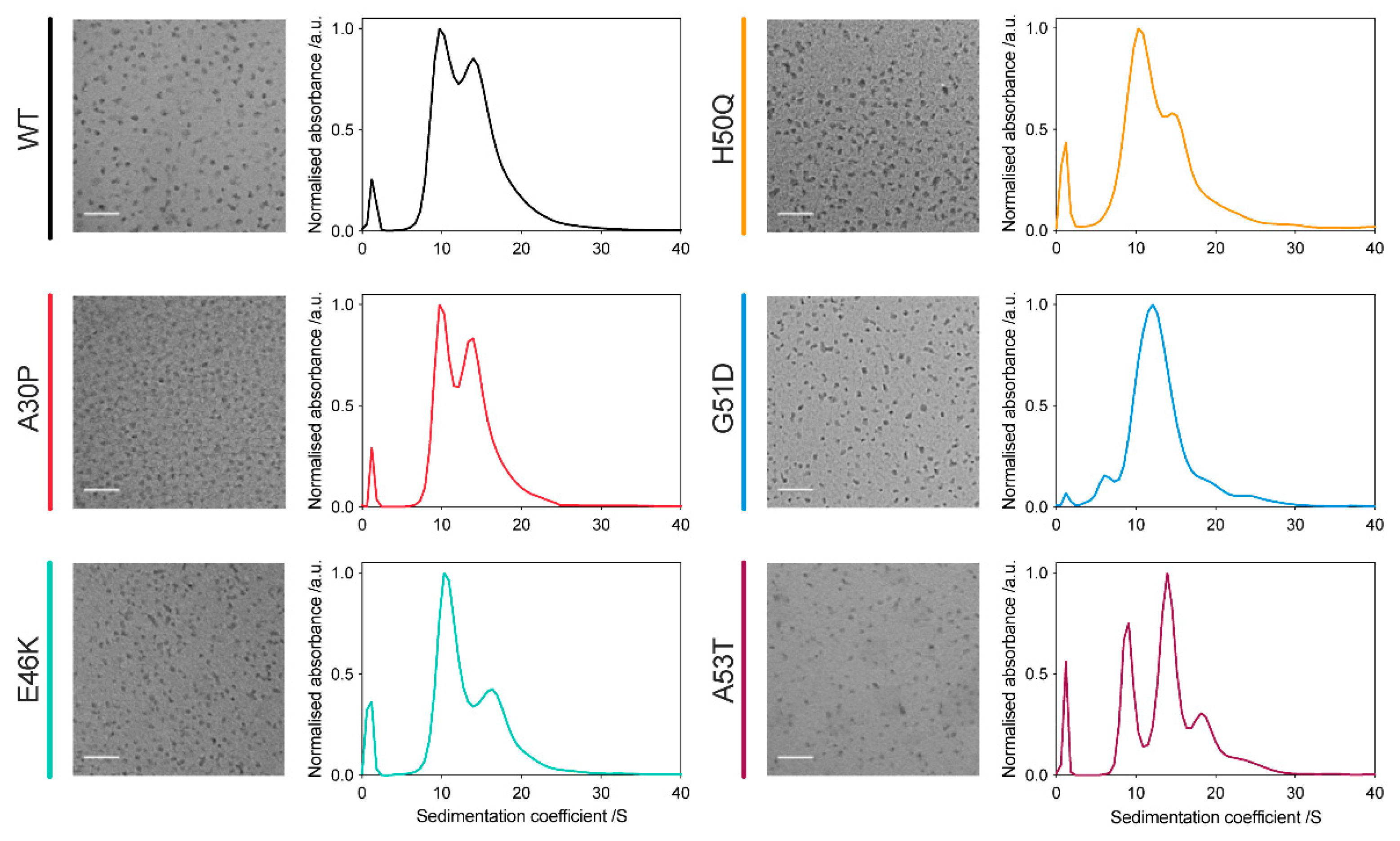 Molecules 27 01293 g001