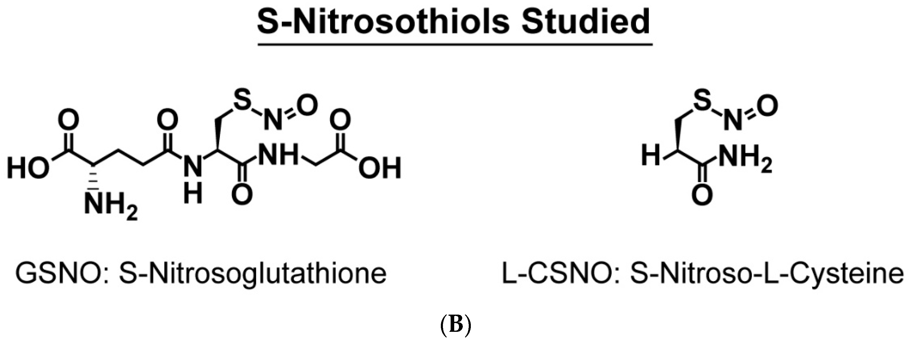 Molecules 27 01294 g001b