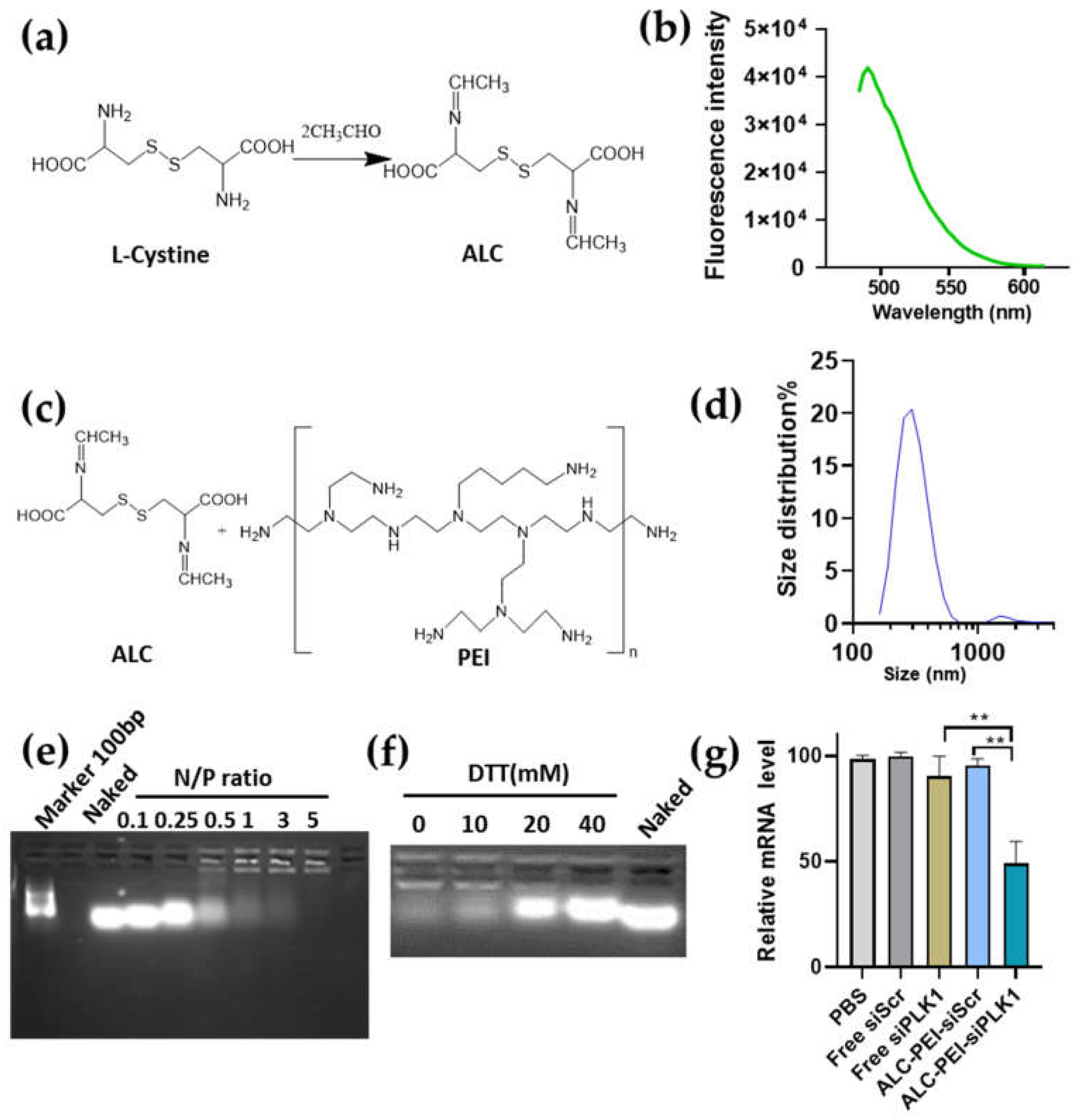 Molecules 27 01302 g002