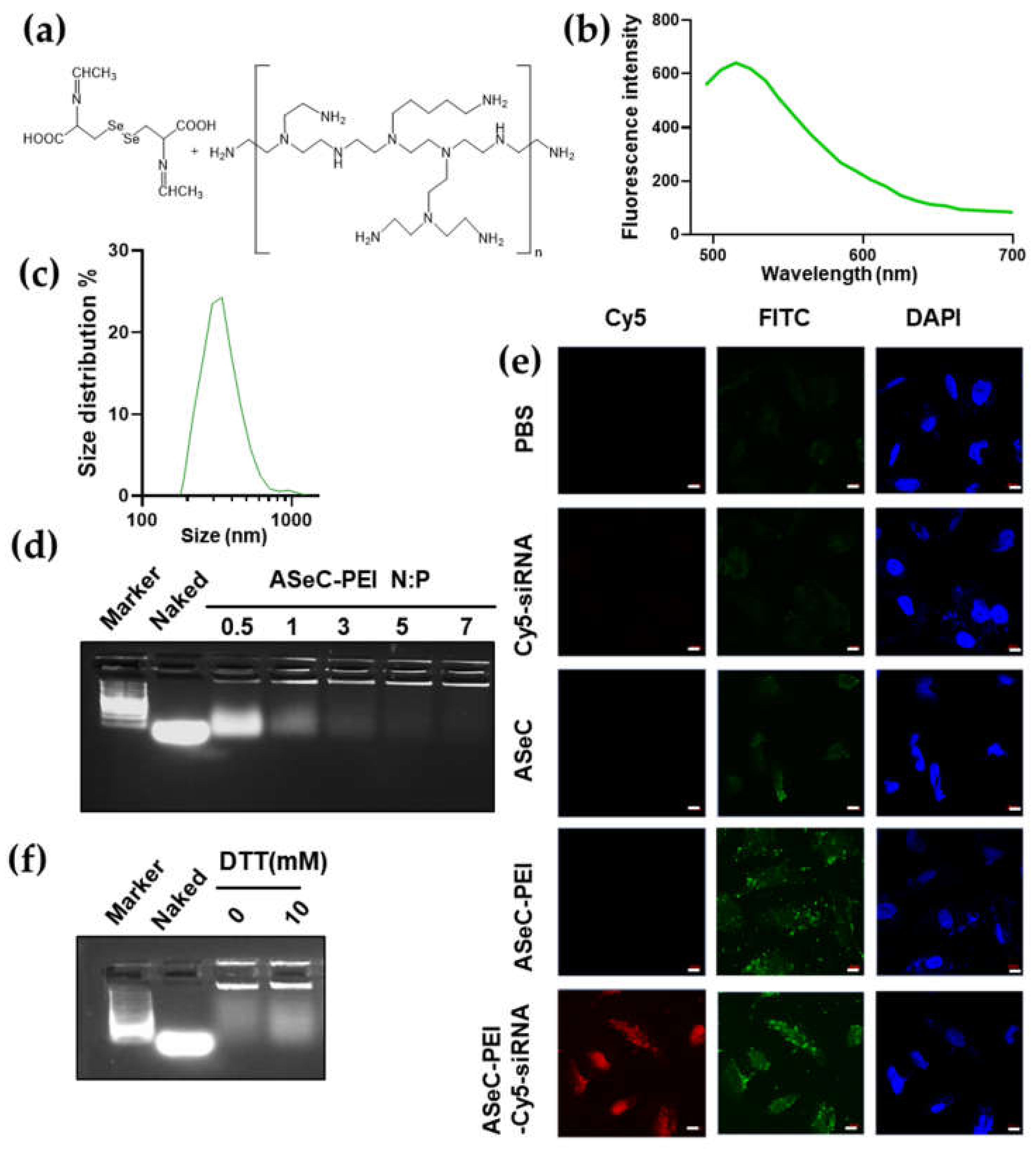Molecules 27 01302 g004
