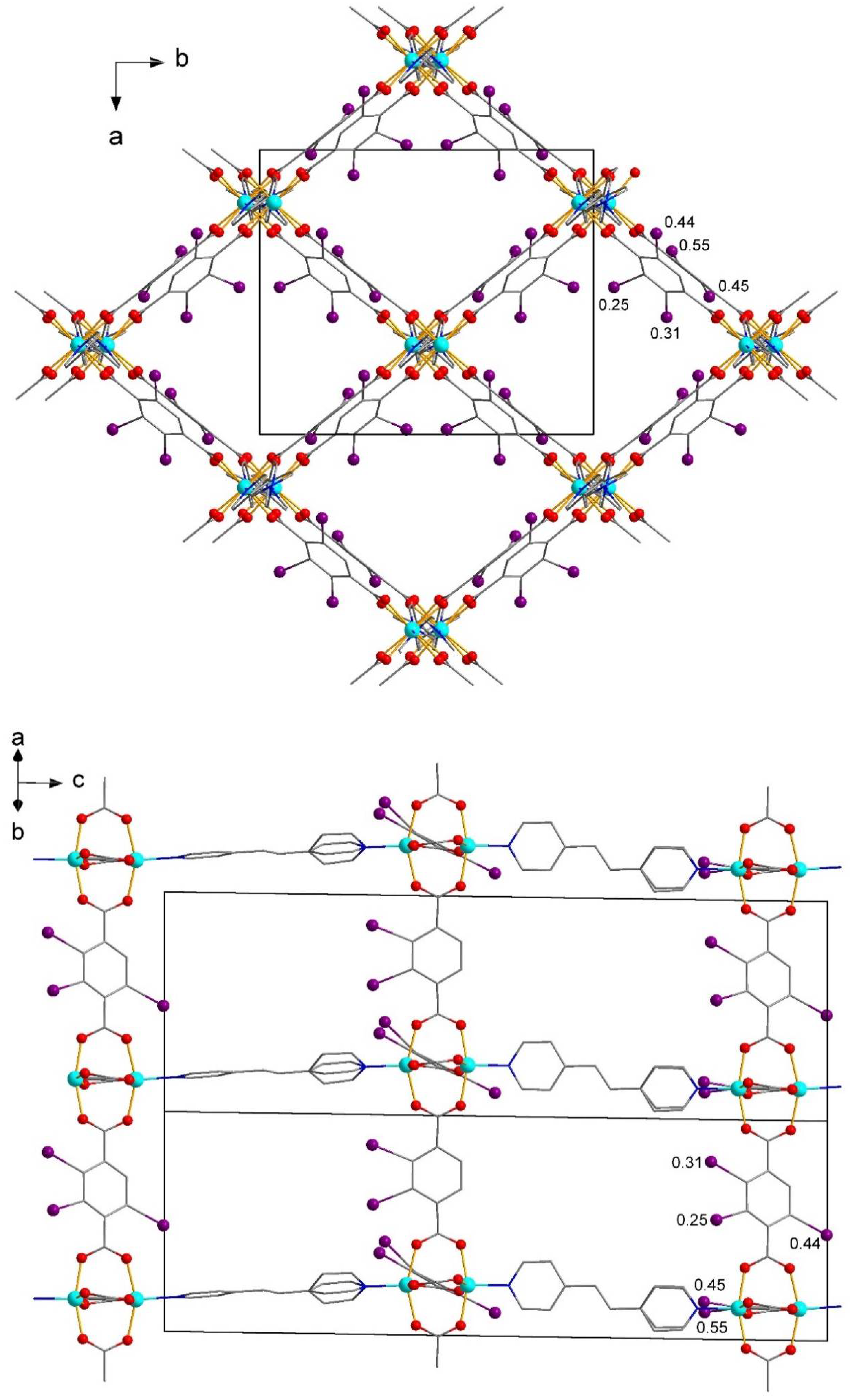 Acide oxalique (acide éthanedioïque) (COOH)₂ - scène 3D - Enseignement et  apprentissage numériques Mozaik