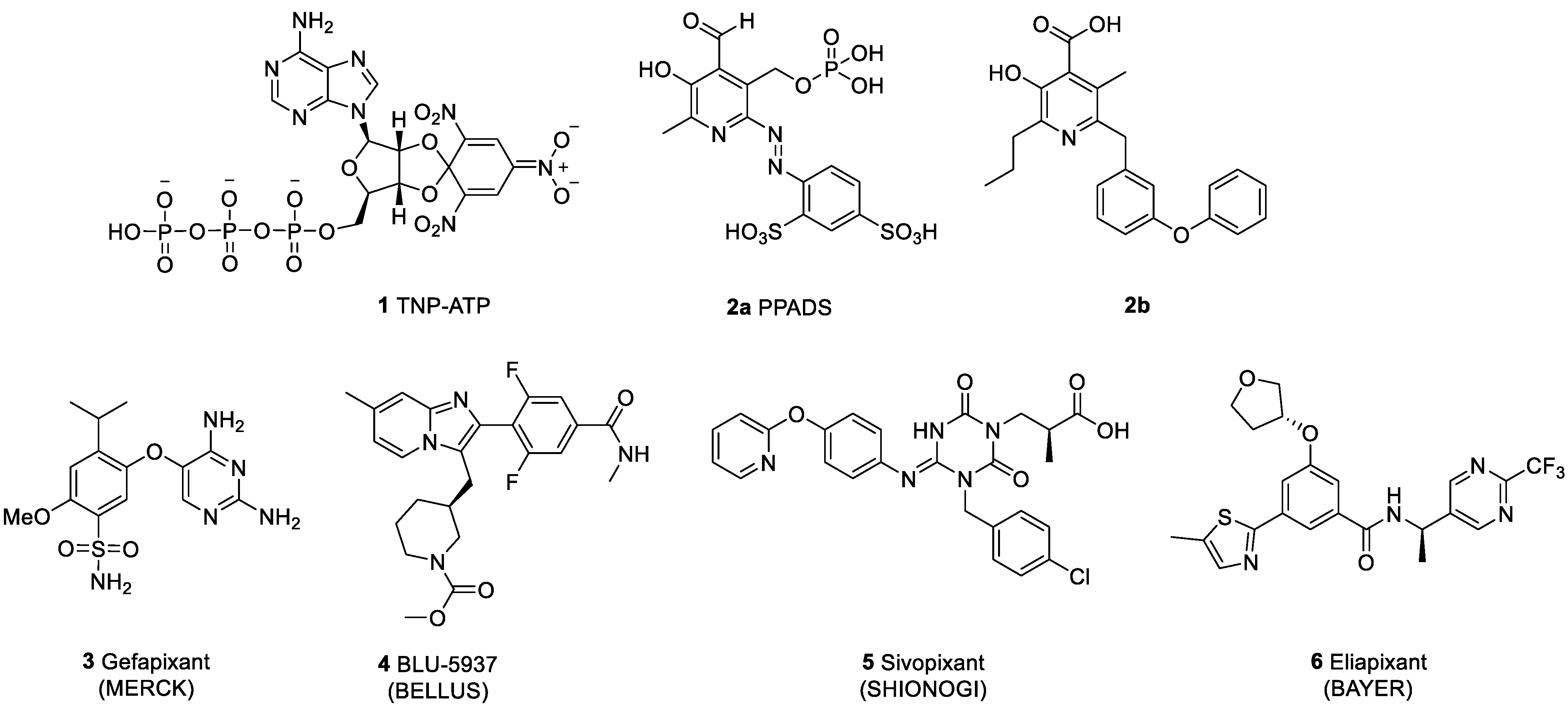 Molecules 27 01337 g001 Molecules 27 01337 g001