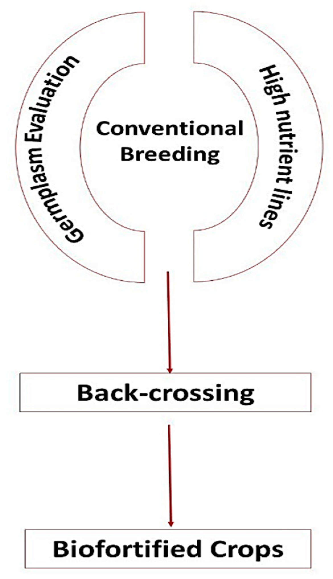 Molecules 27 01340 g005 Molecules 27 01340 g005