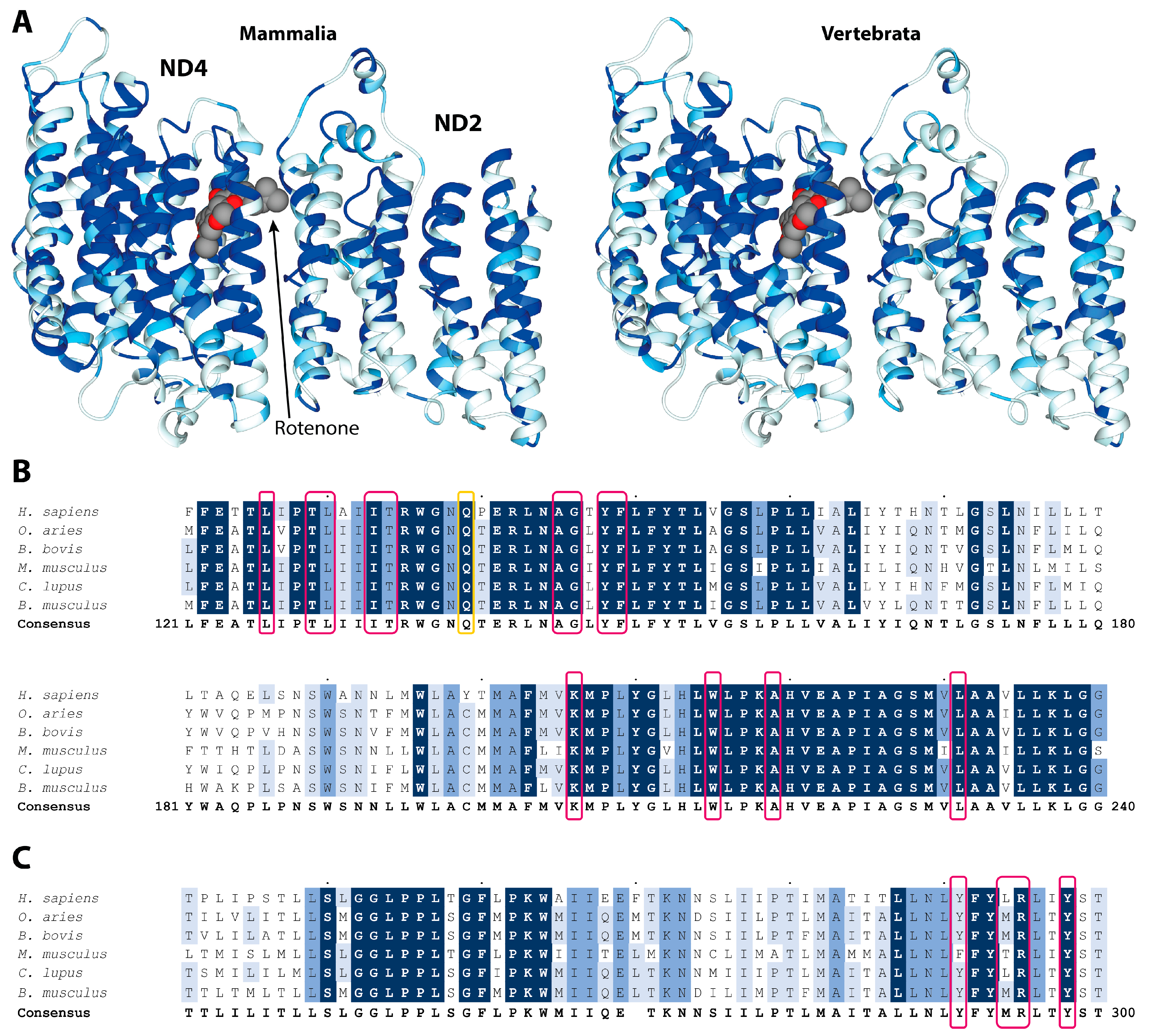 Molecules 27 01341 g002 Molecules 27 01341 g002