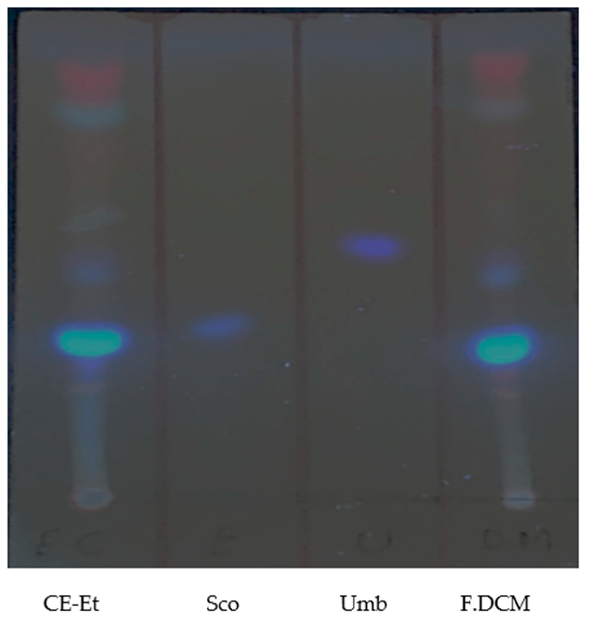 Molecules 27 01348 g003
