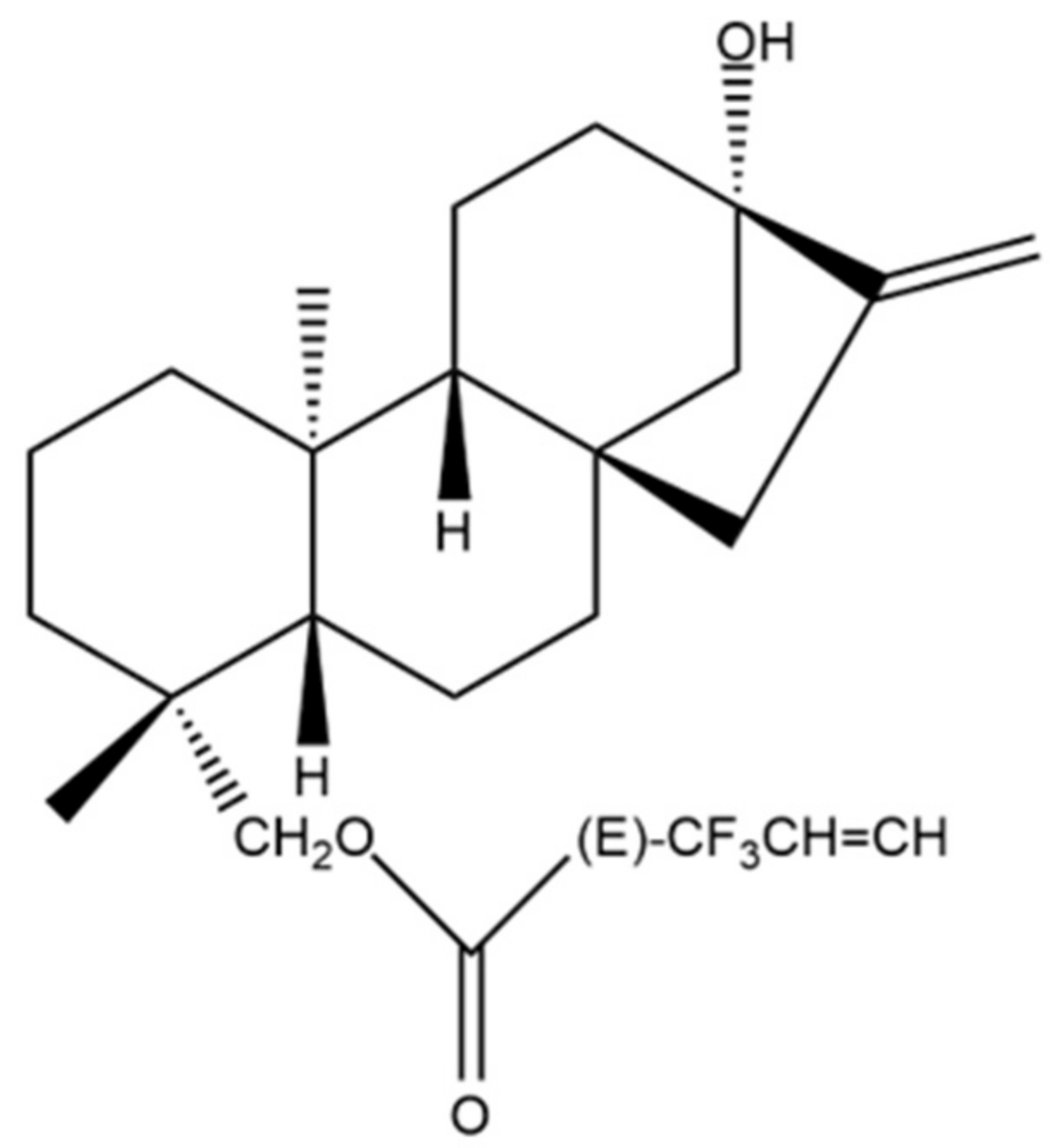 Molecules | Free Full-Text | Anti-Cancer Properties of Stevia rebaudiana;  More than a Sweetener
