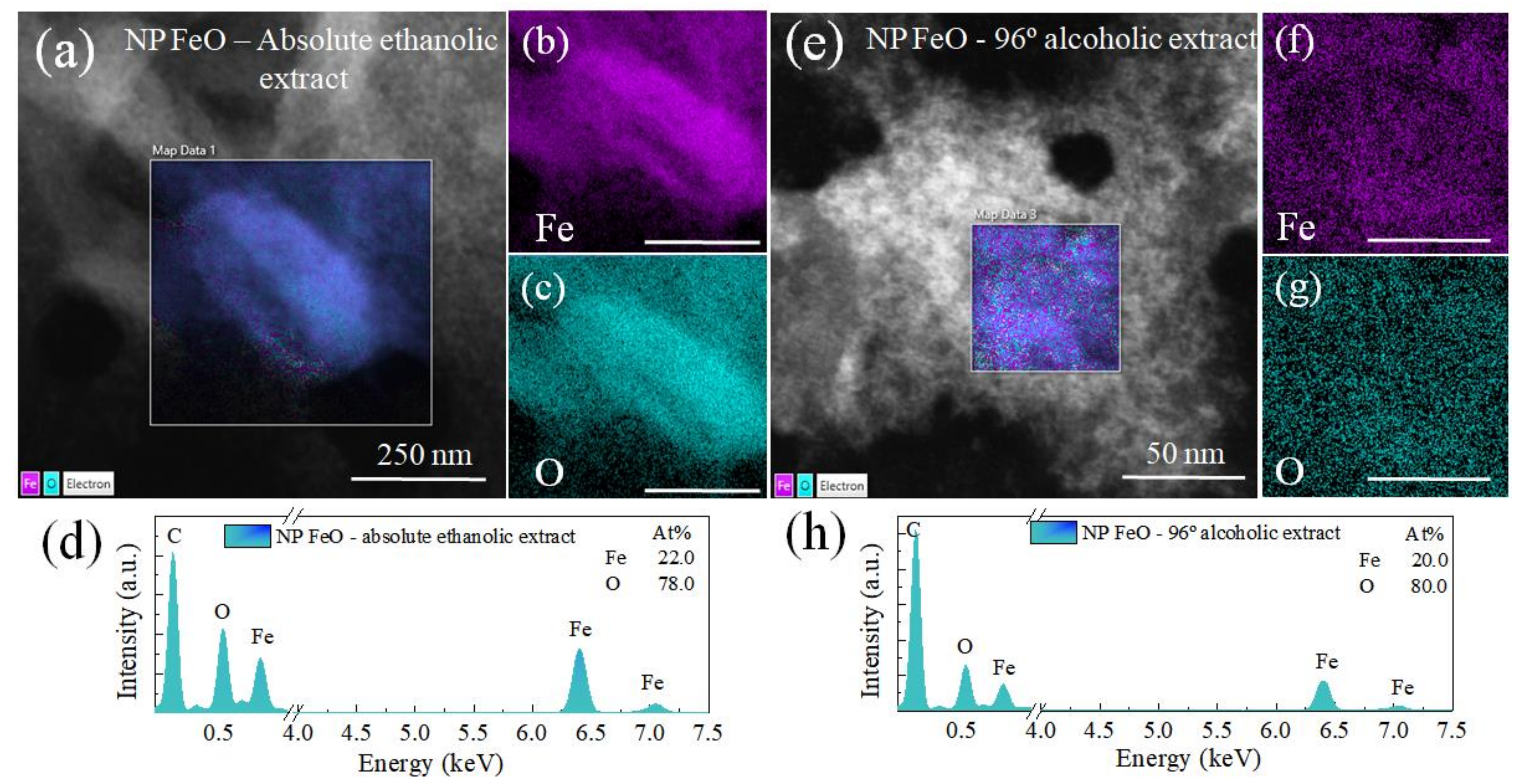 Molecules 27 01367 g006