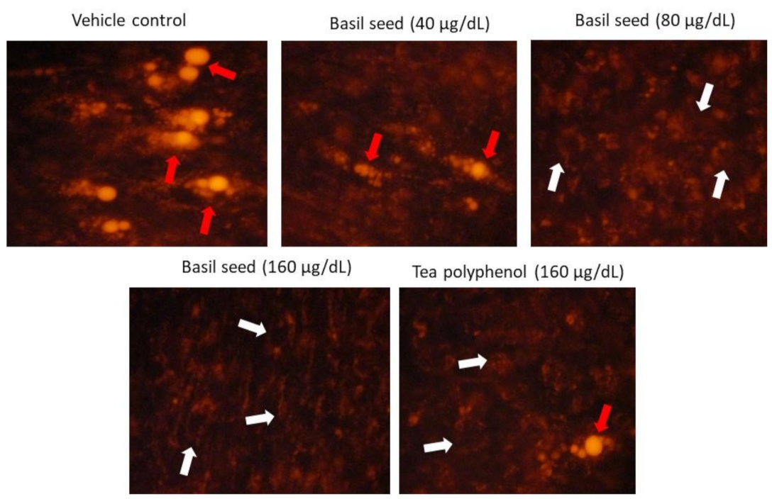 Molecules 27 01388 g005