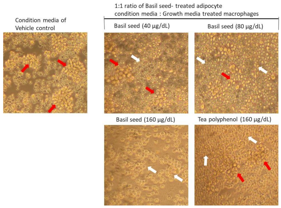 Molecules 27 01388 g009