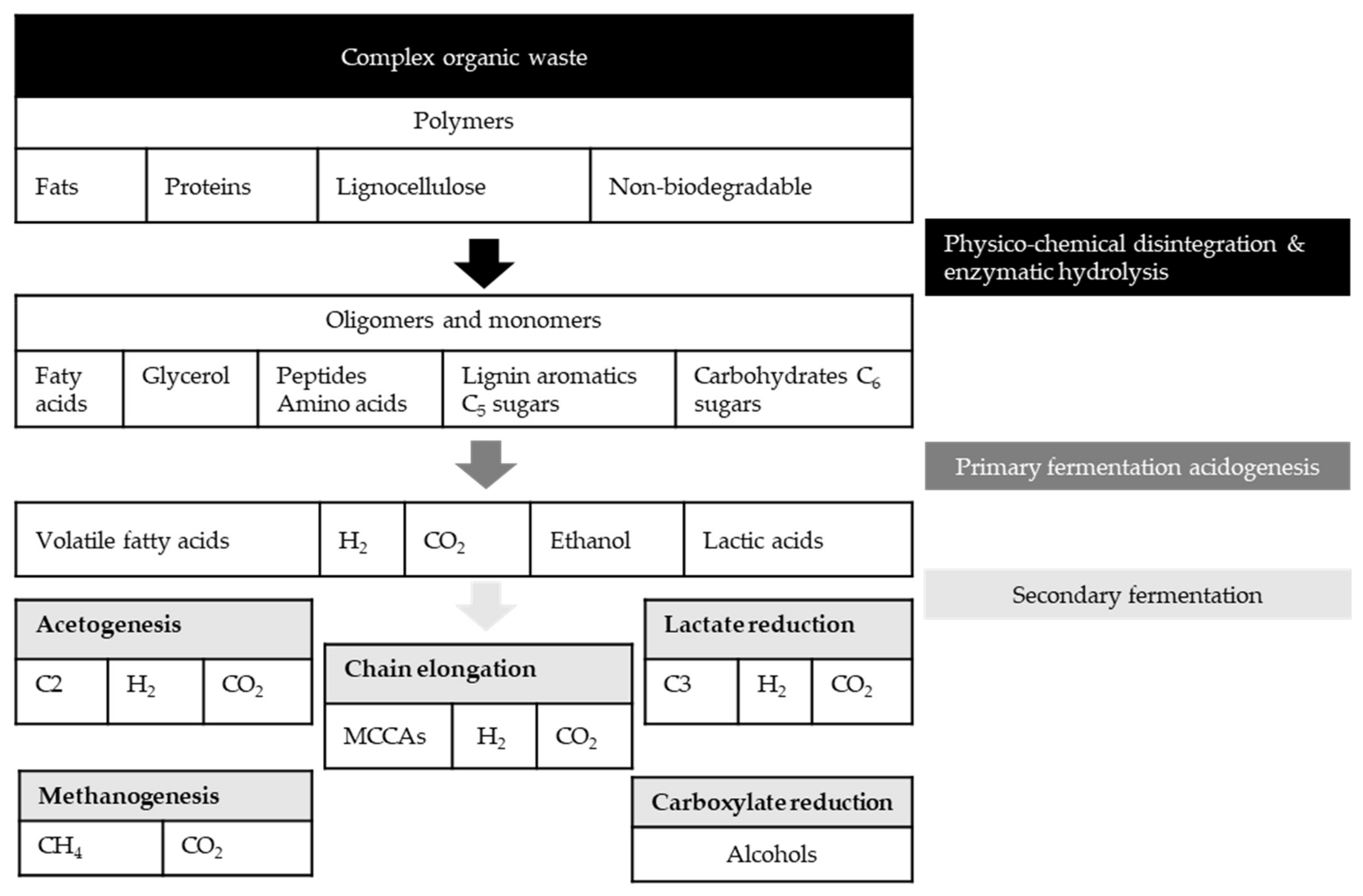 Molecules 27 01389 g002 Molecules 27 01389 g002