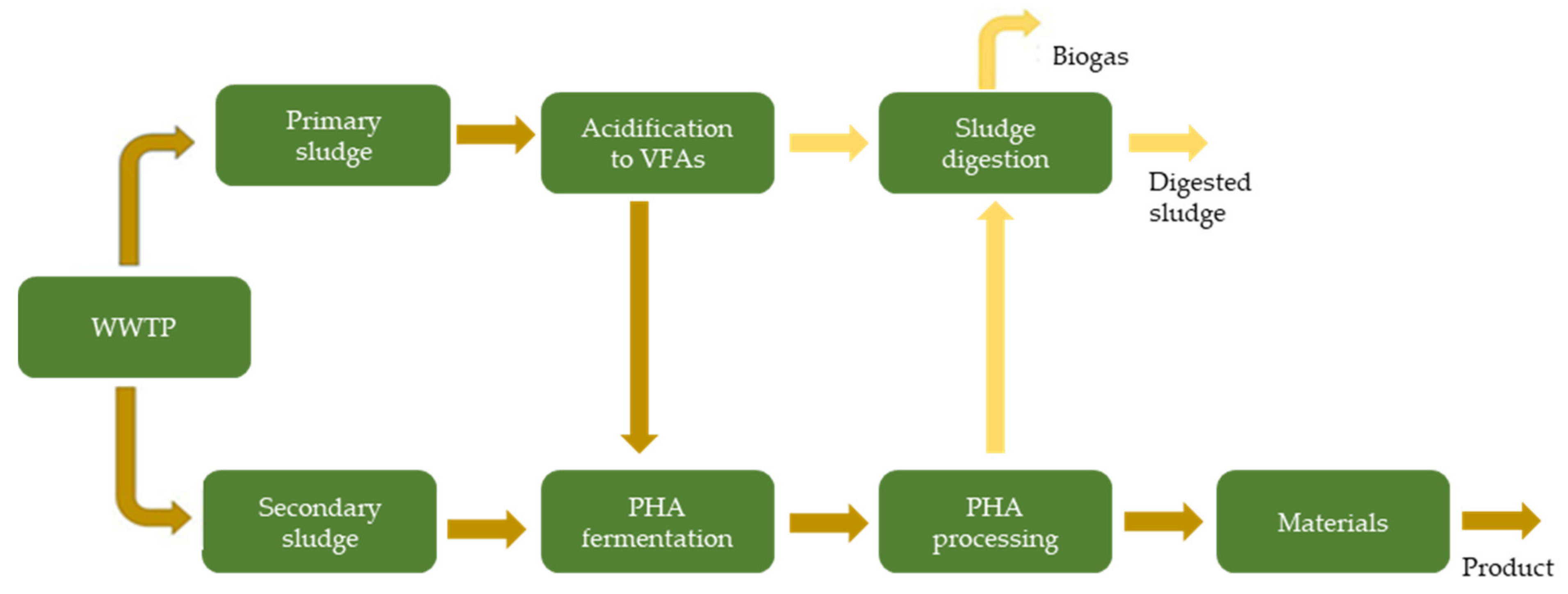 Molecules 27 01389 g008 Molecules 27 01389 g008