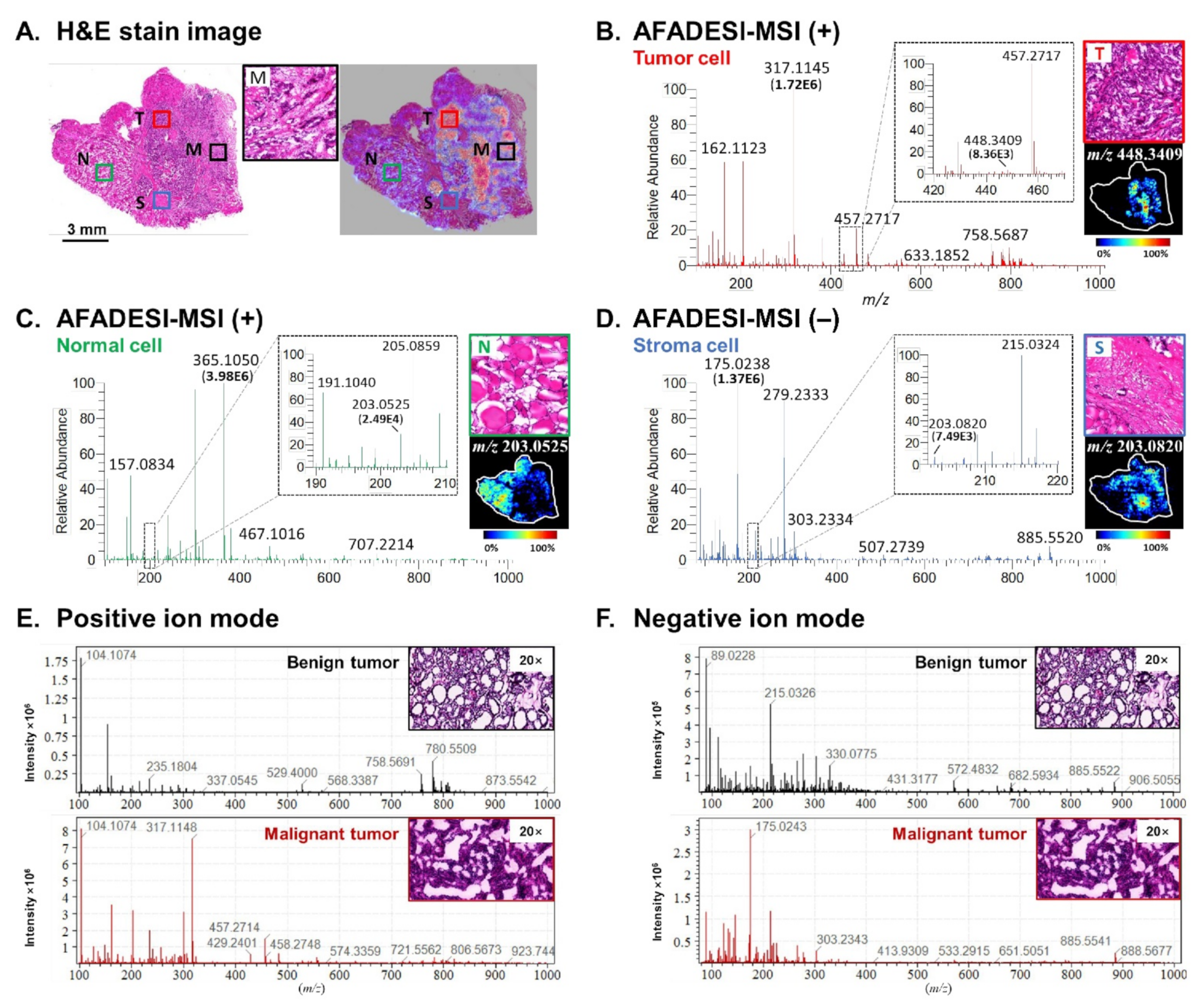 Molecules 27 01390 g001