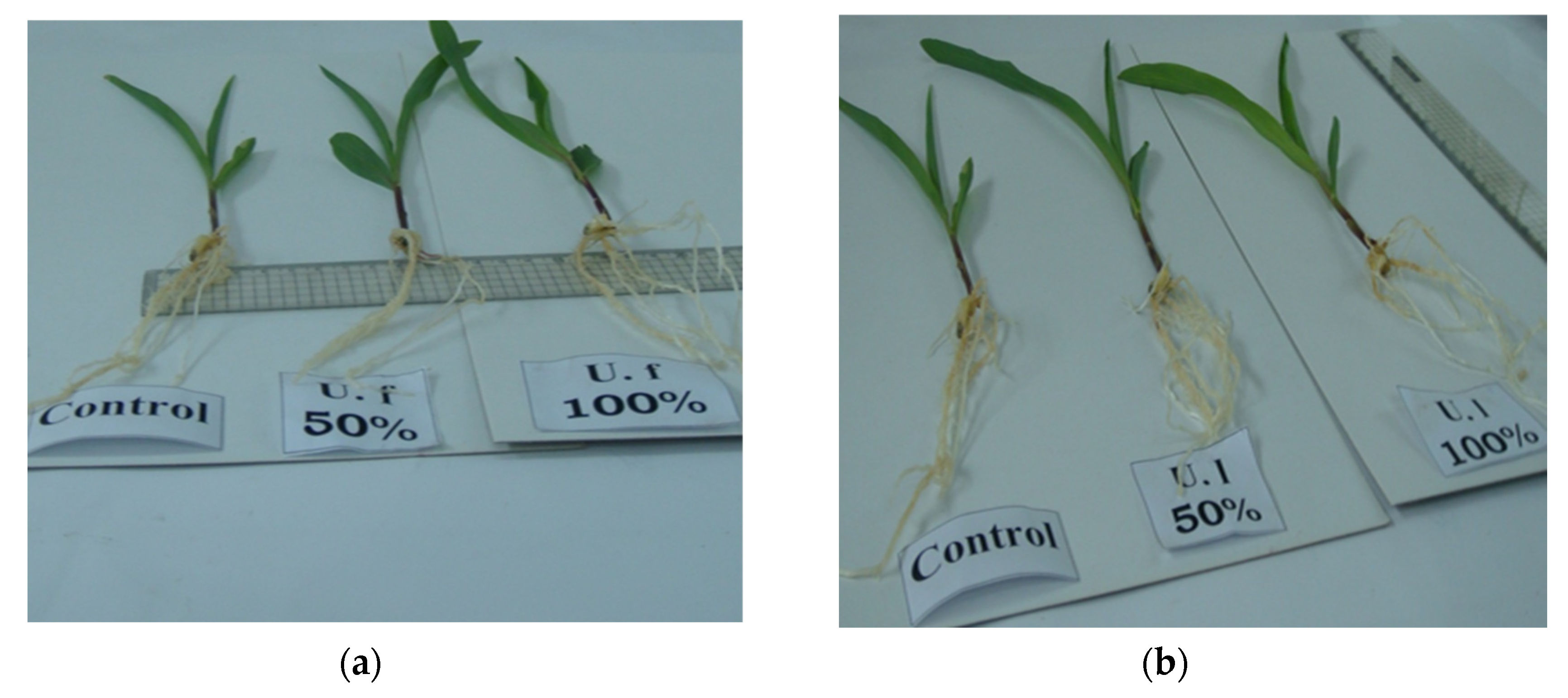 Molecules 27 01394 g003