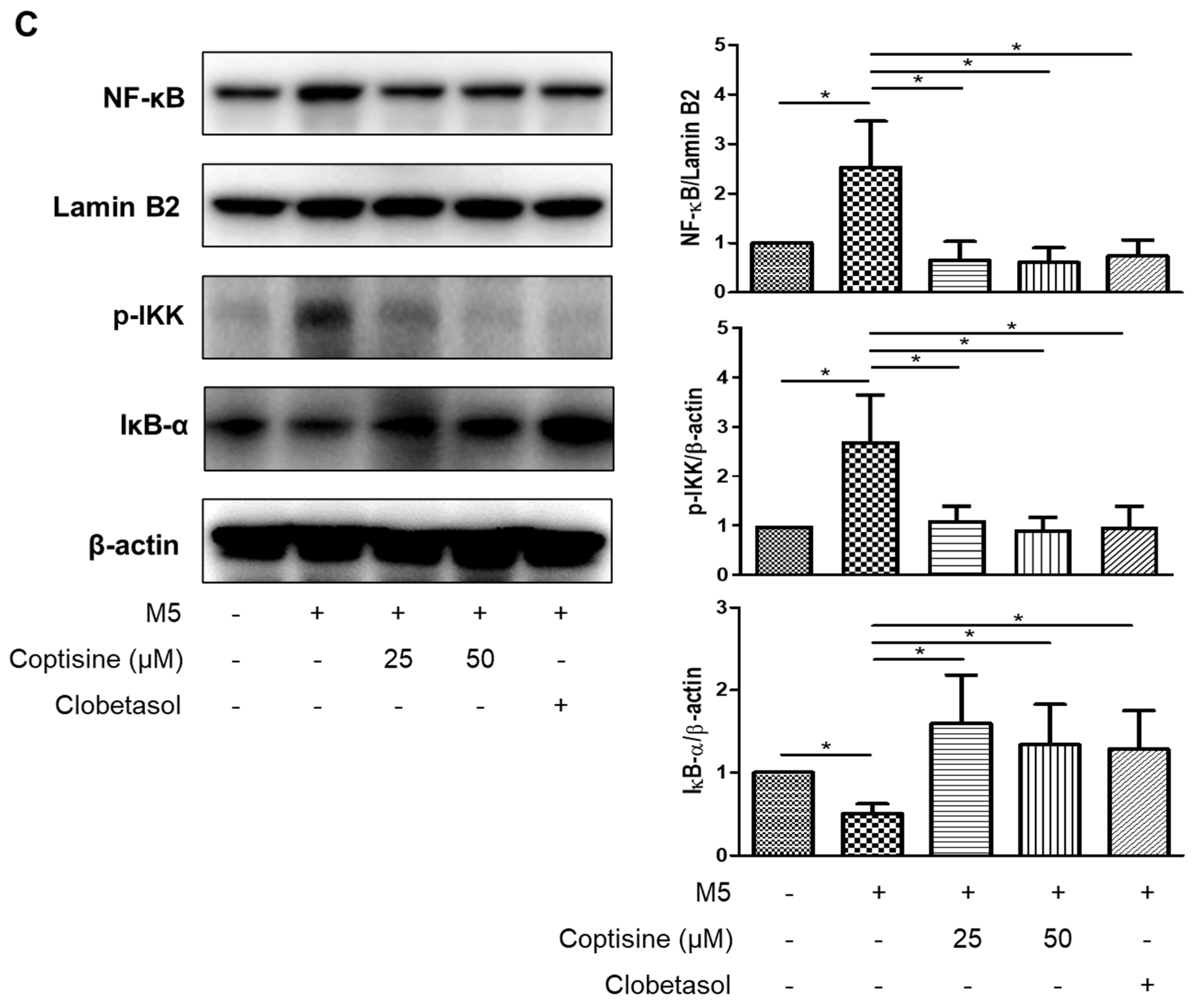 Molecules 27 01412 g005b Molecules 27 01412 g005b