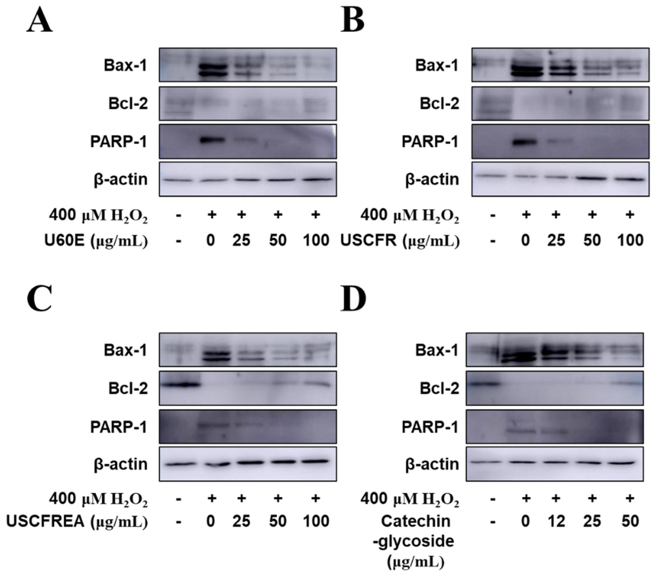 Molecules 27 01419 g005