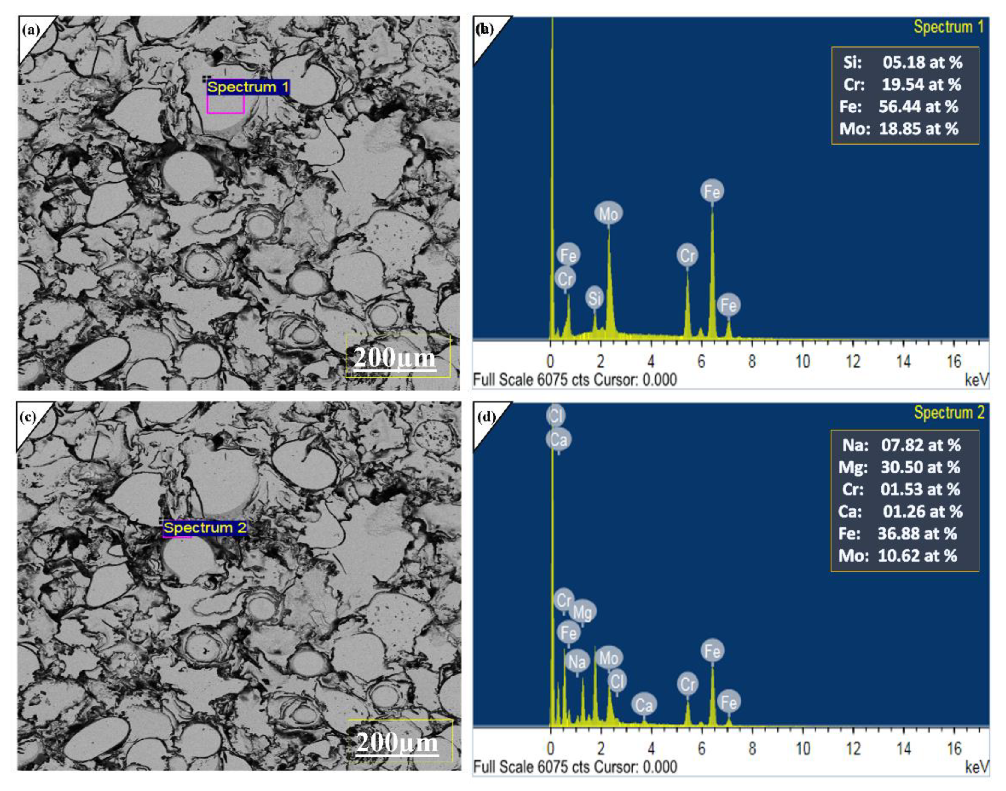 Molecules 27 01421 g008