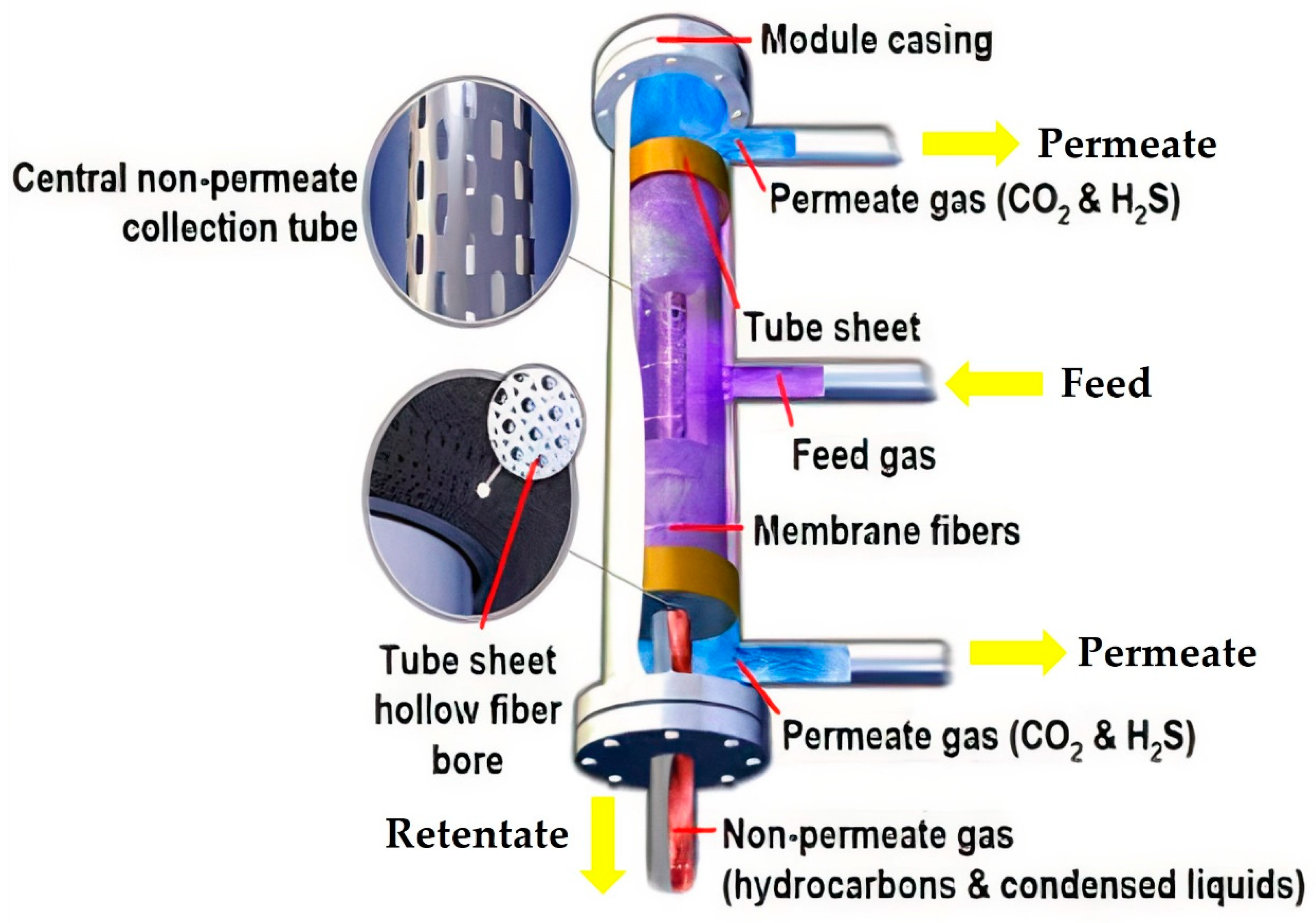 Molecules 27 01424 g003 Molecules 27 01424 g003