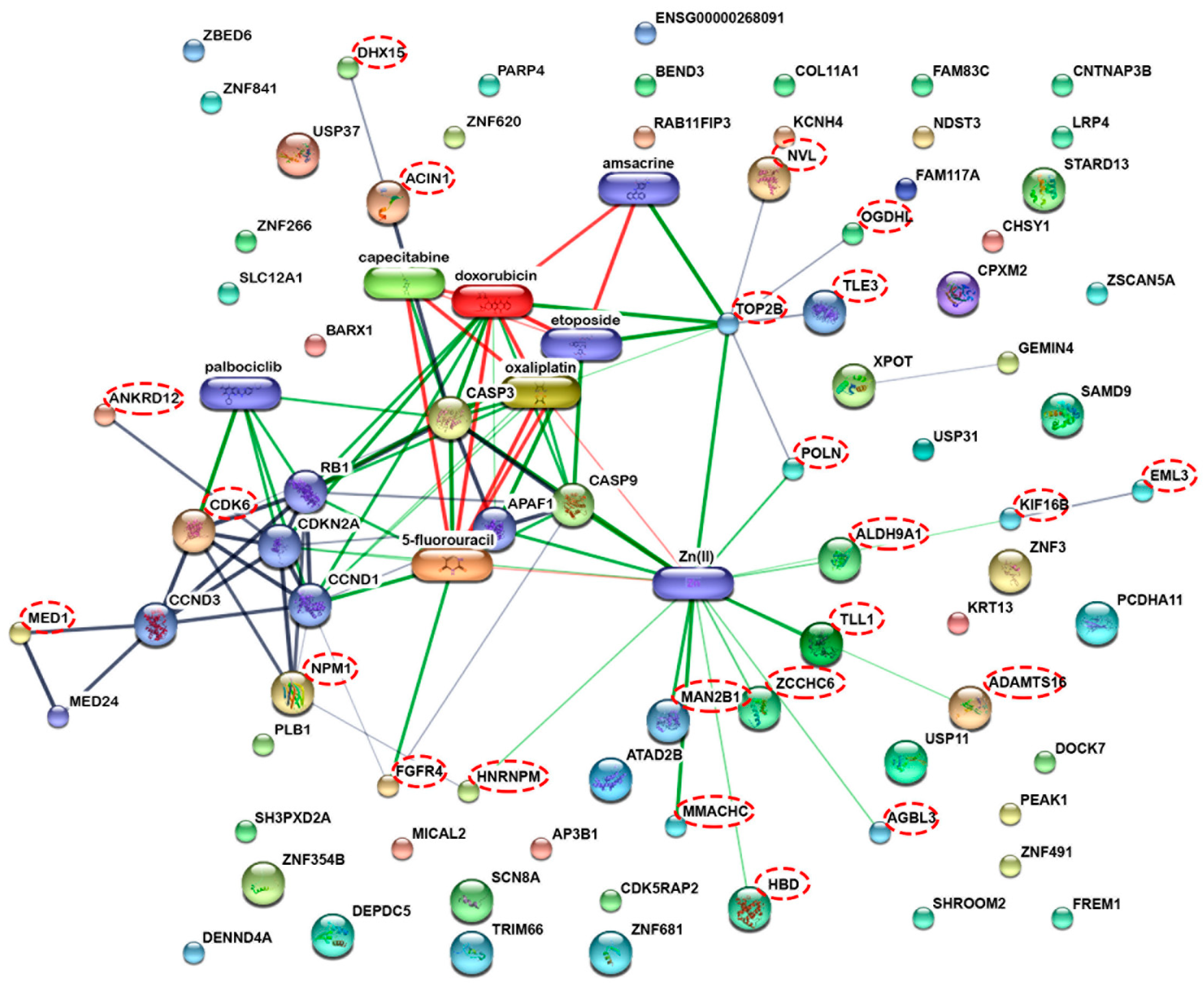 Molecules 27 01426 g007