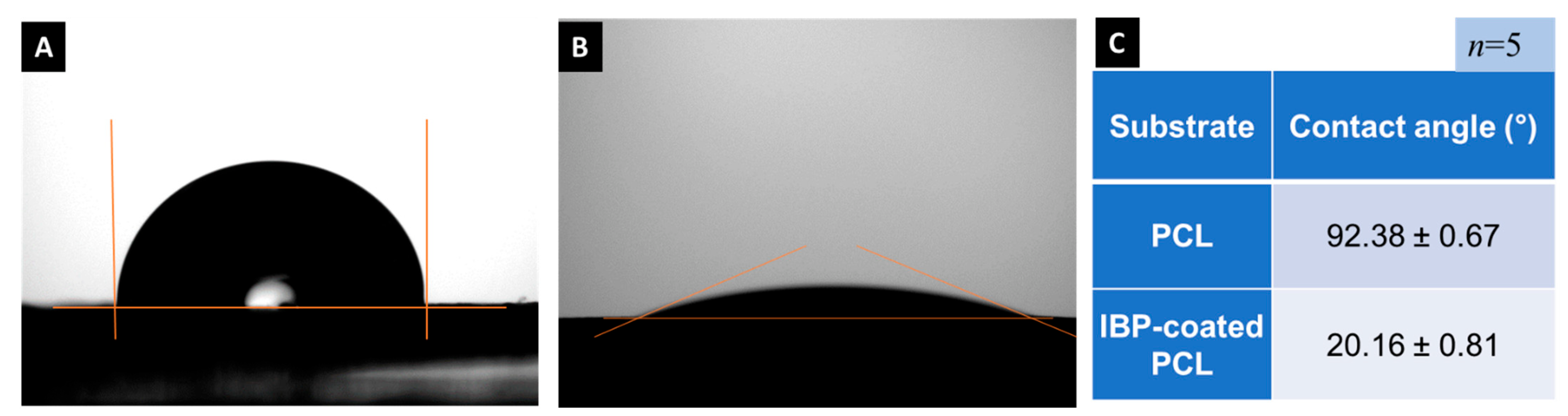 Molecules 27 01429 g002