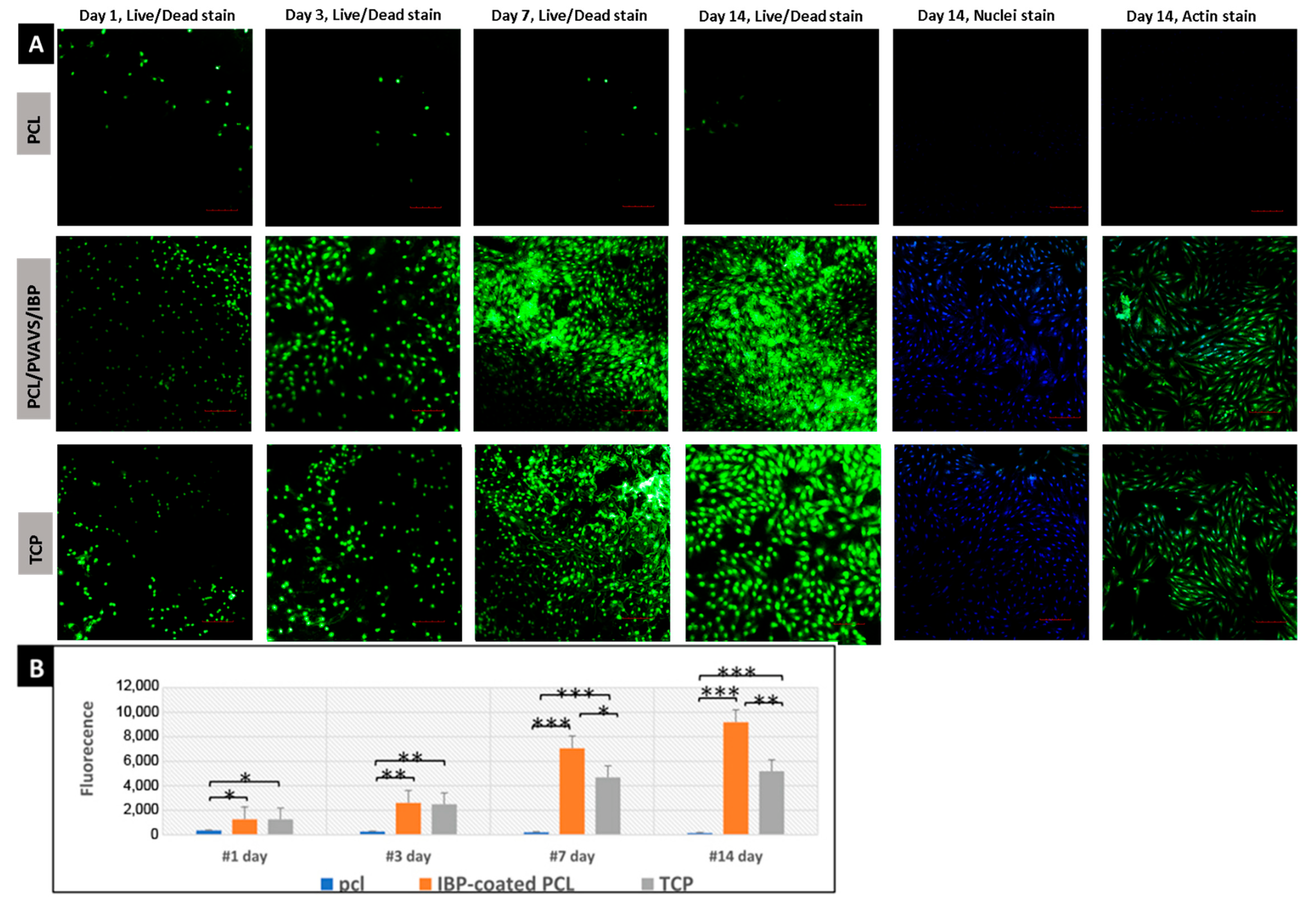 Molecules 27 01429 g004