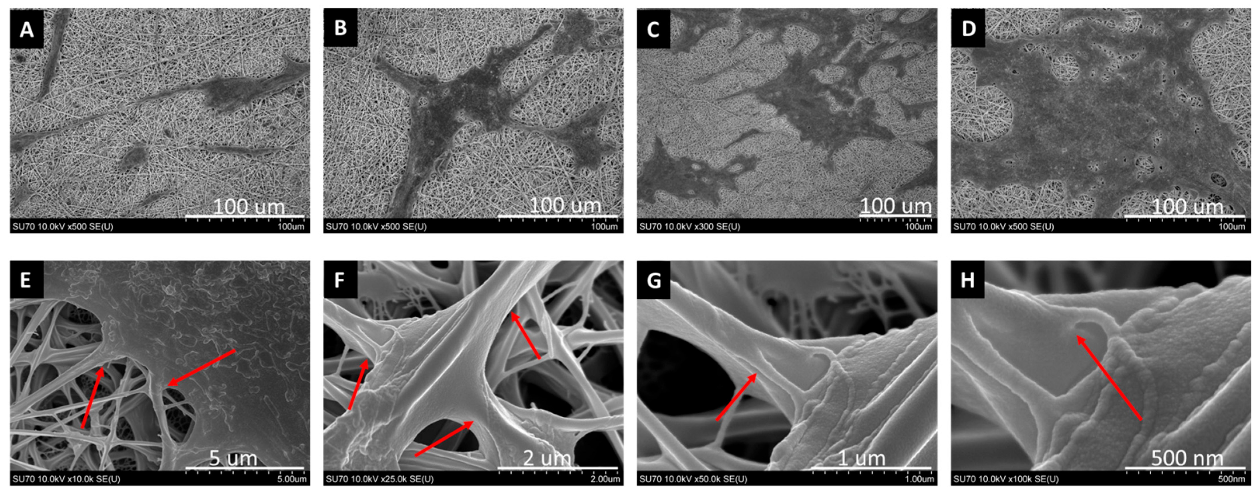 Molecules 27 01429 g005