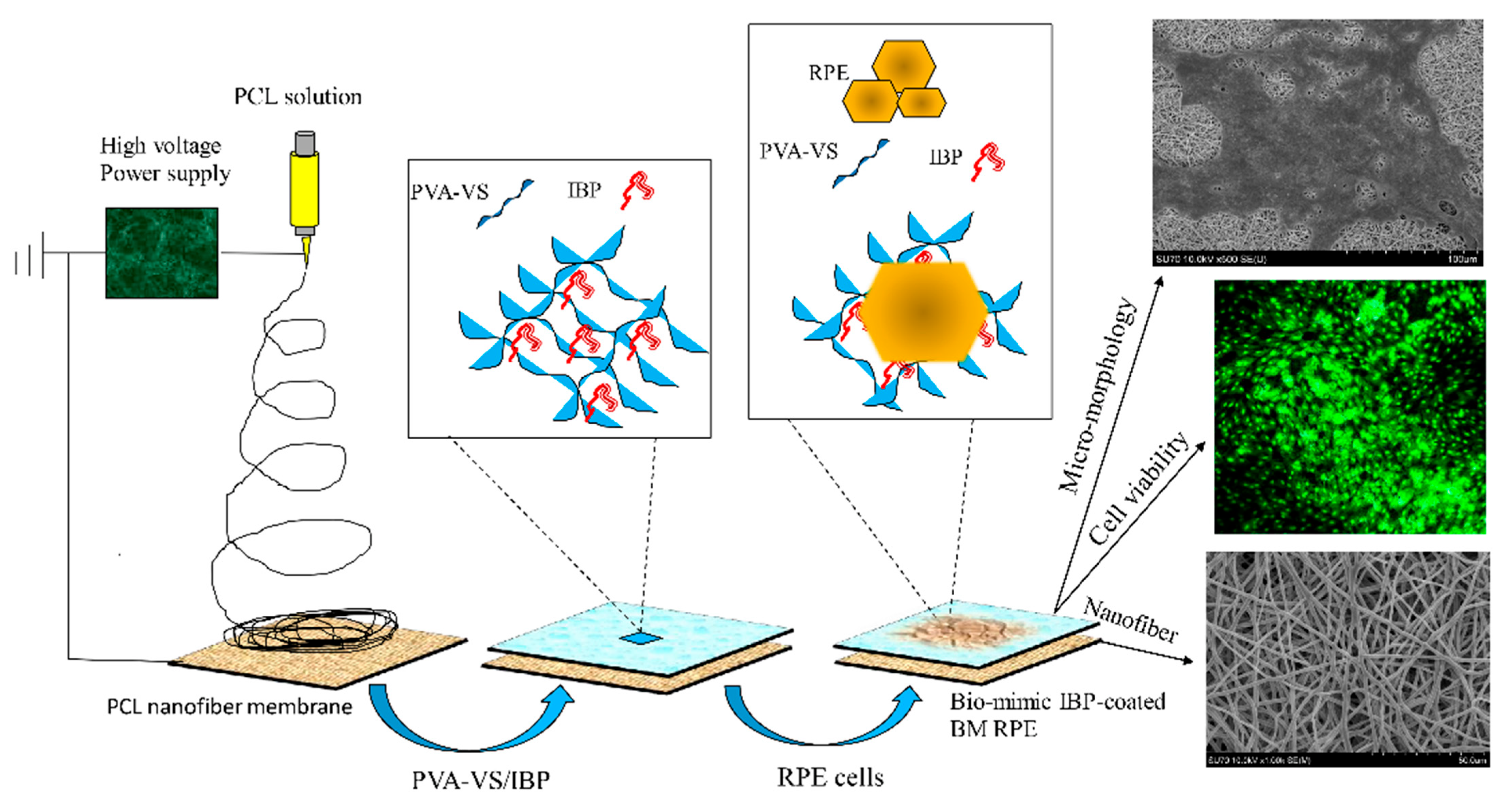 Molecules 27 01429 sch001