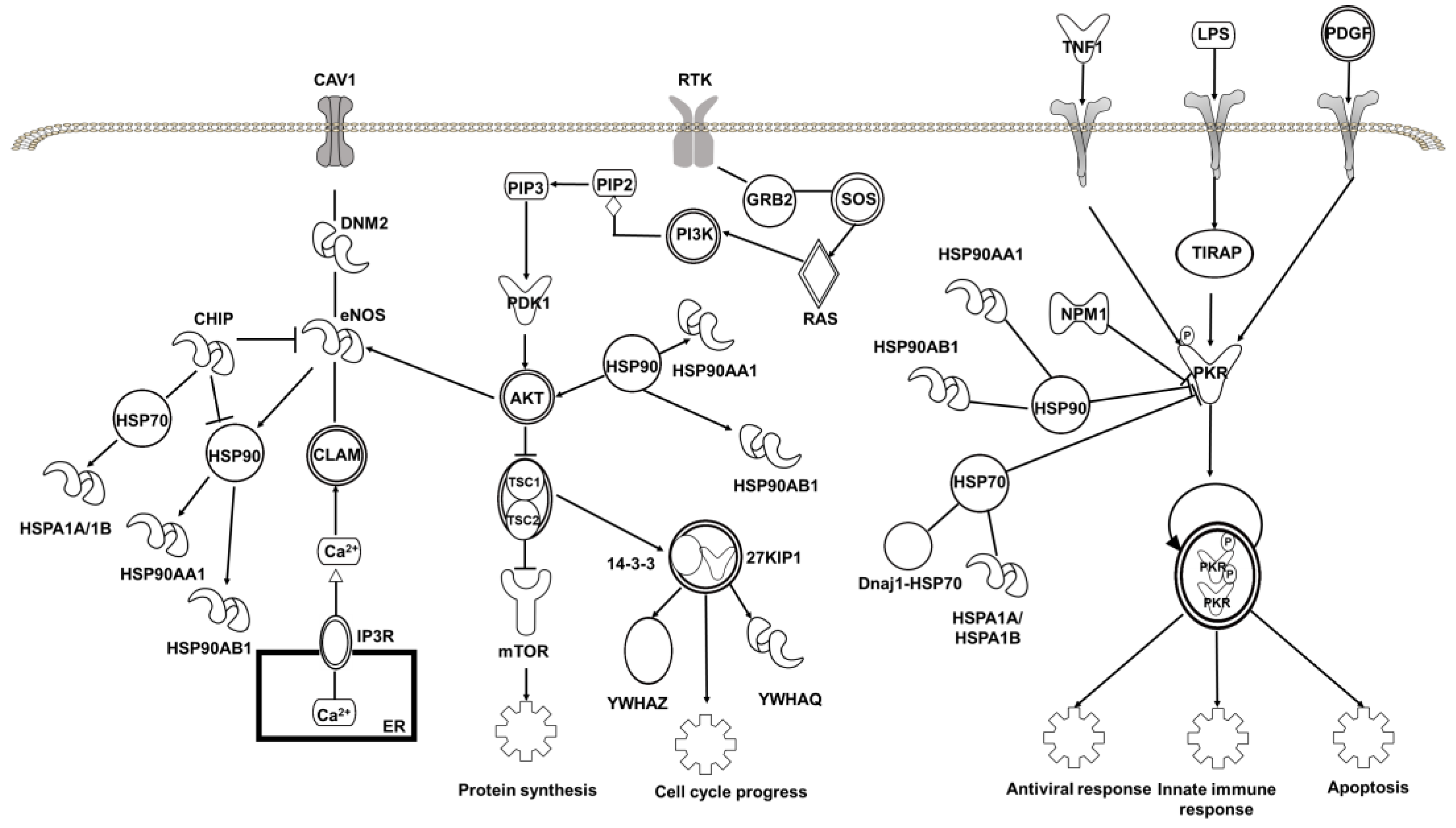 Molecules 27 01432 g007