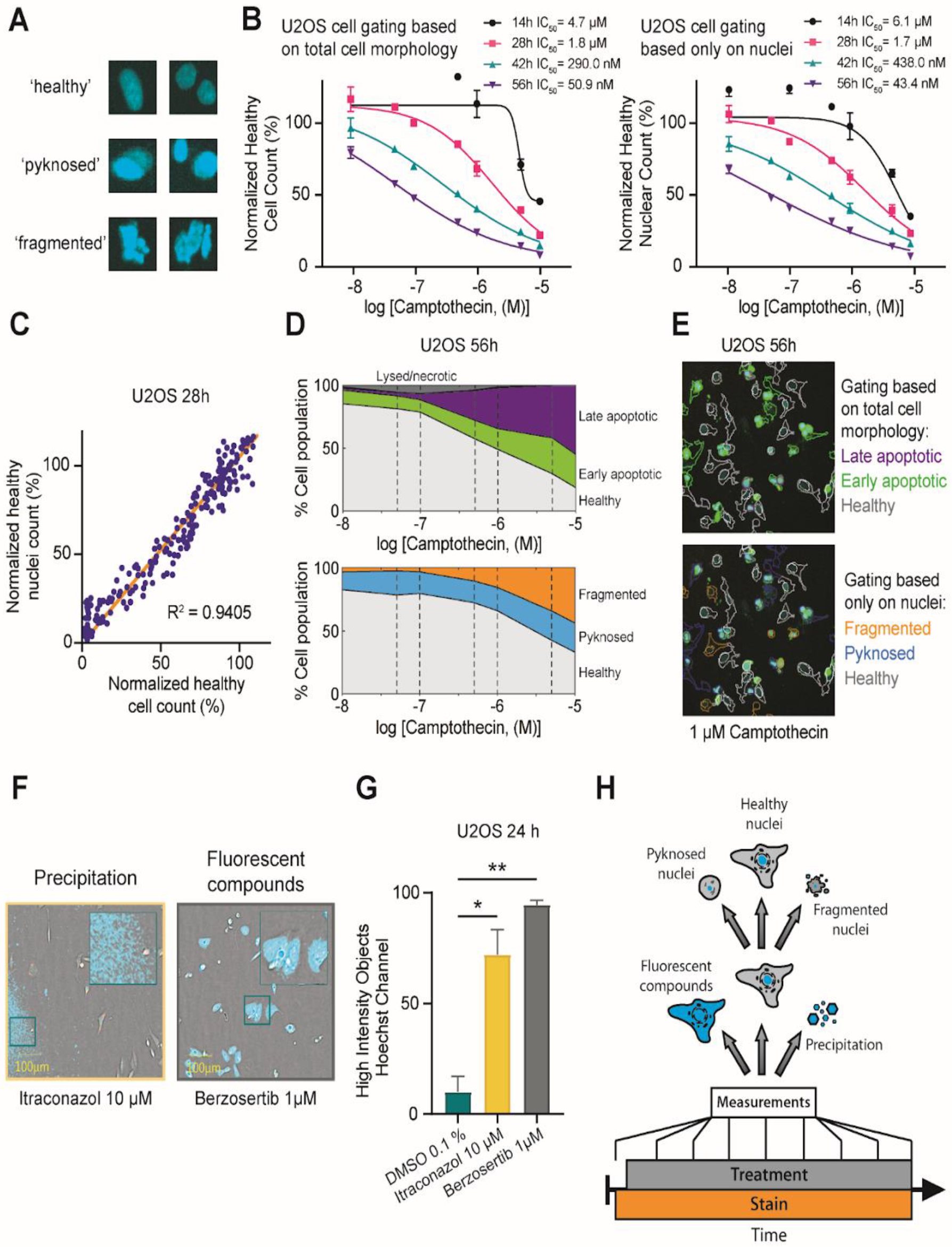 Molecules 27 01439 g002