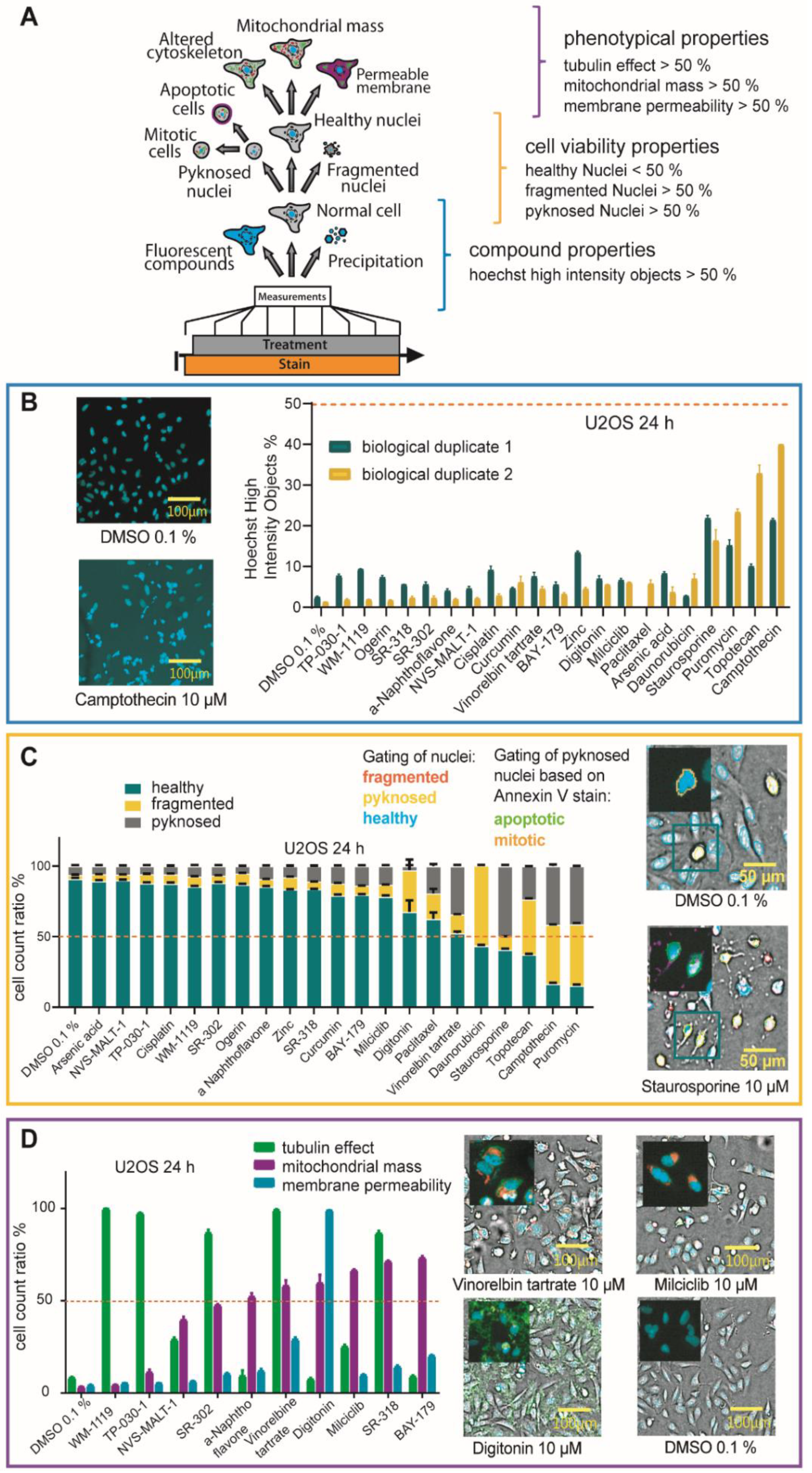 Molecules 27 01439 g004